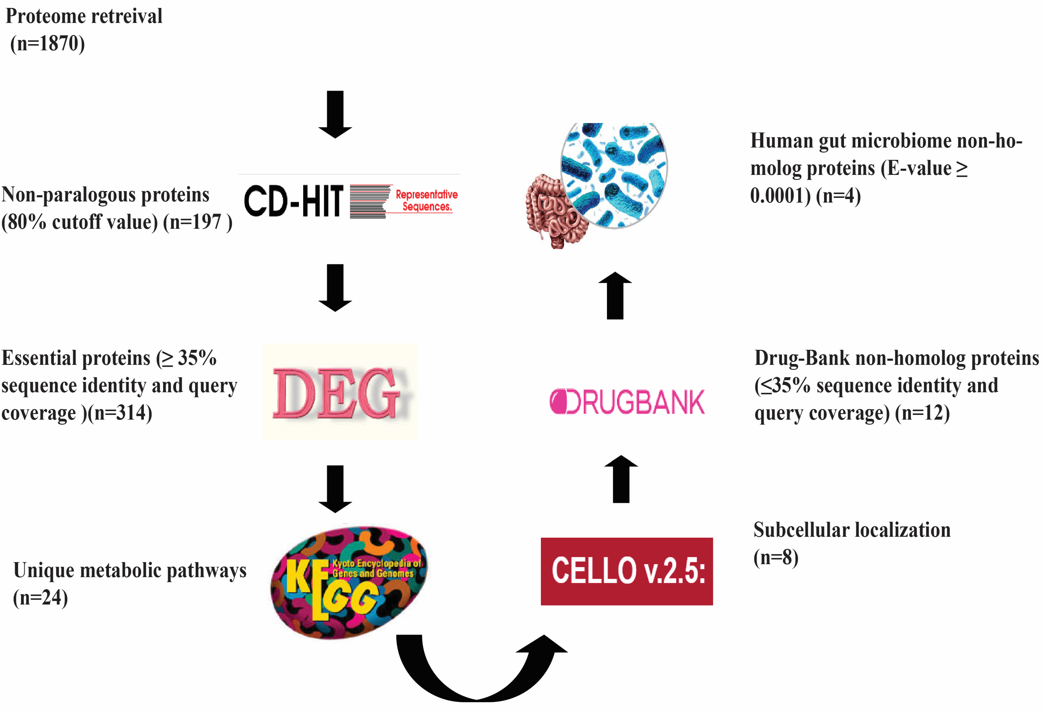 Pharmaceuticals 16 01124 g001