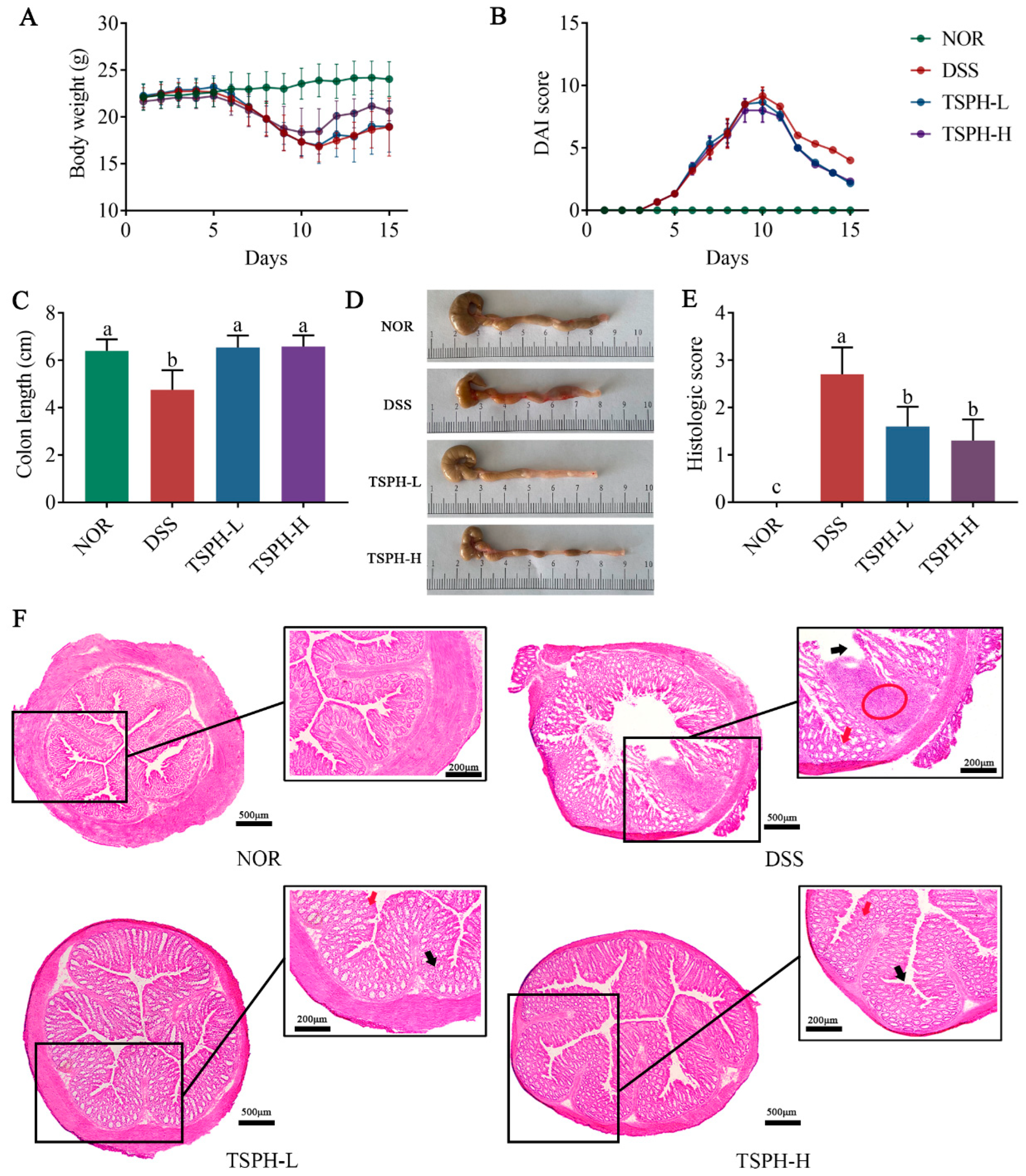 Pharmaceuticals 16 01133 g003