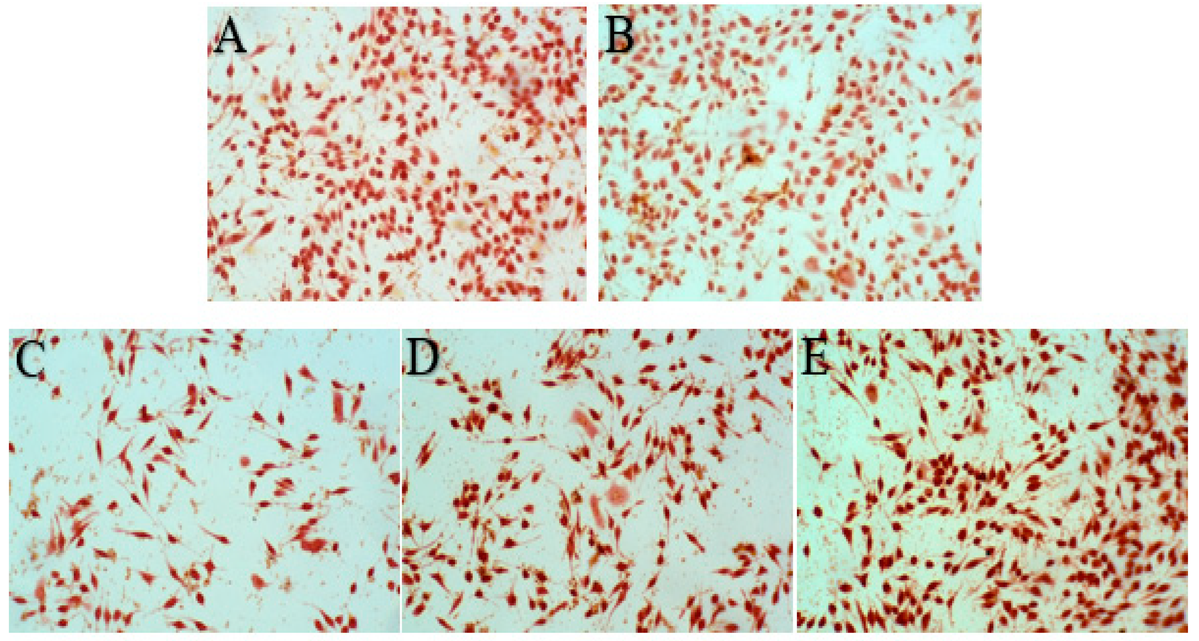 Pharmaceuticals 16 01135 g009