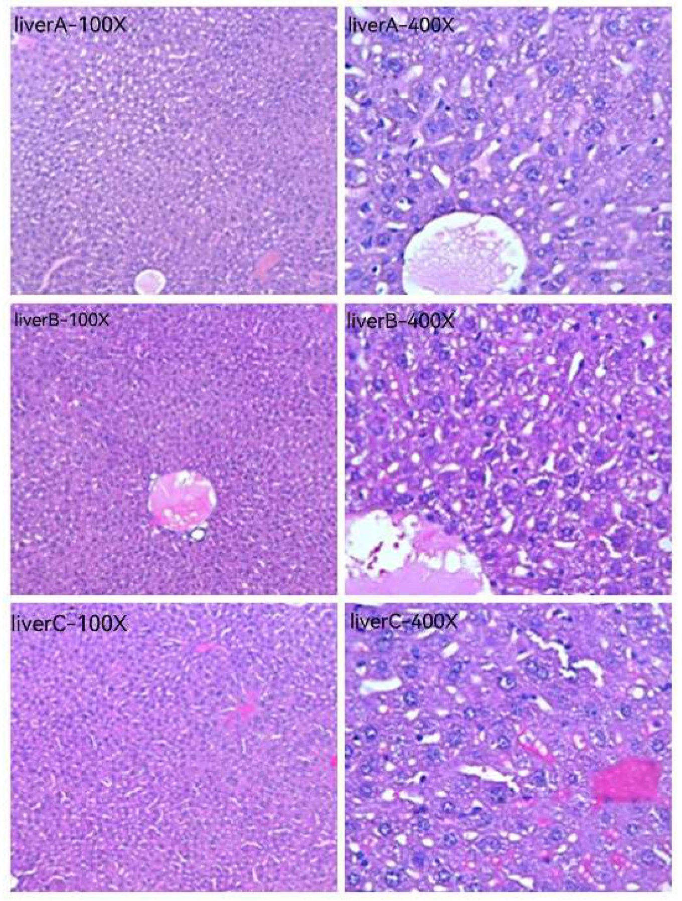 Pharmaceuticals 16 01135 g010