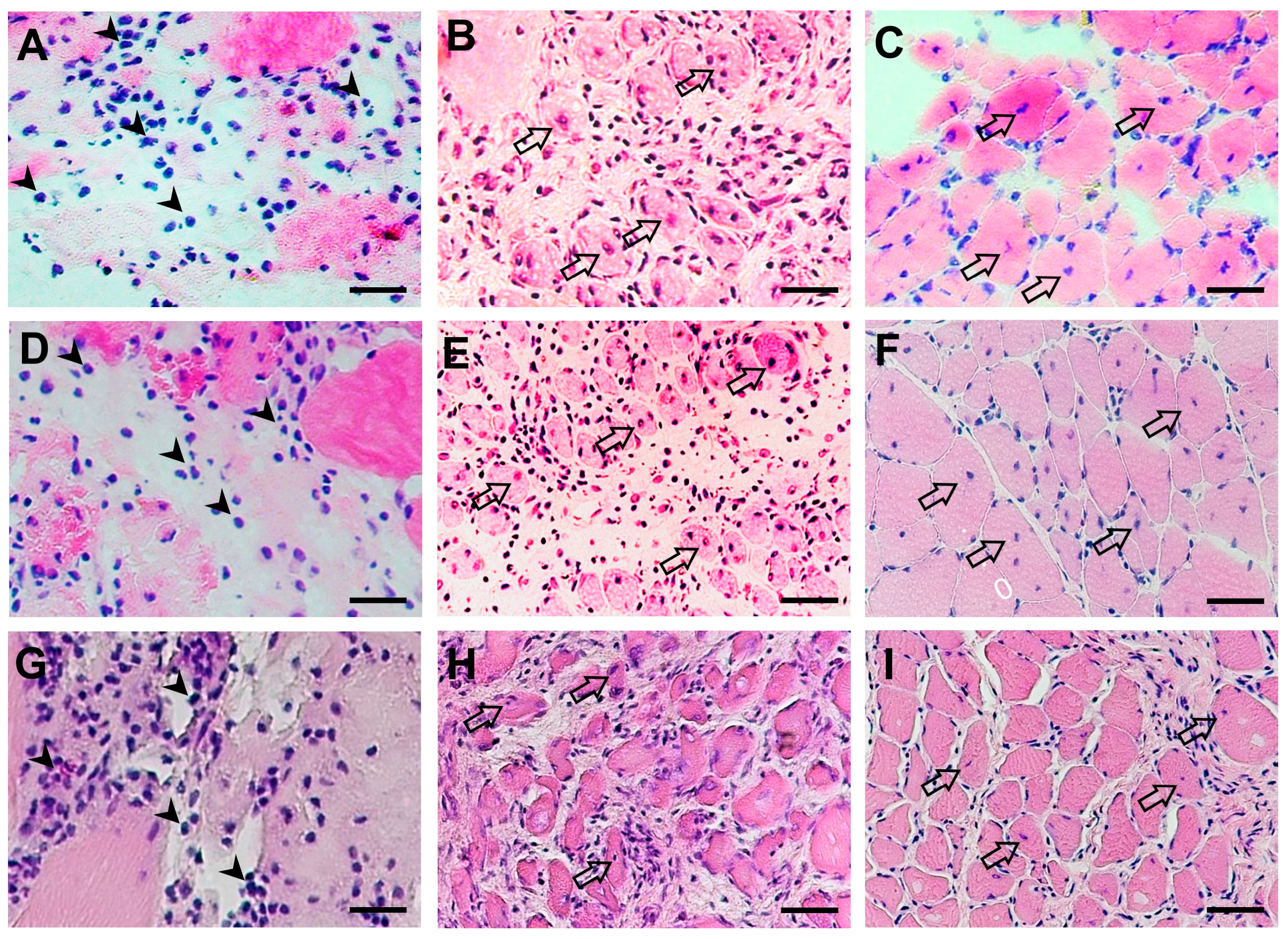 Pharmaceuticals 16 01144 g002
