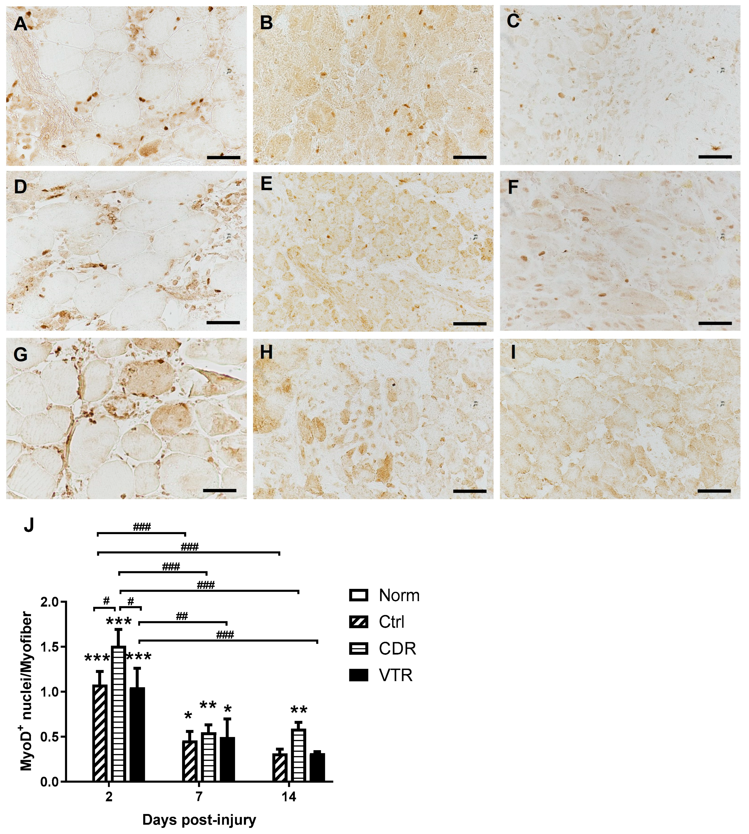 Pharmaceuticals 16 01144 g004