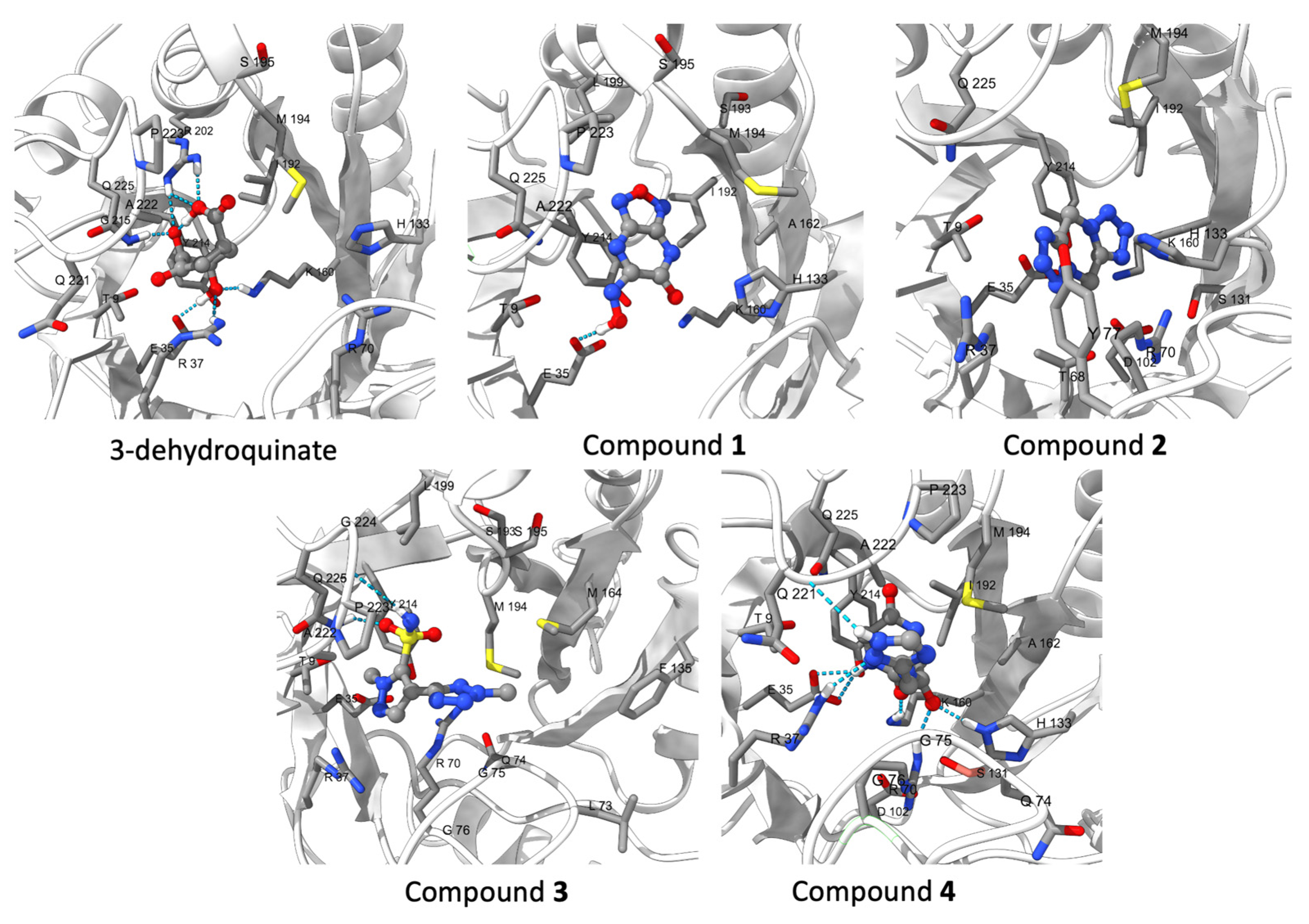 Pharmaceuticals 16 01148 g007 Pharmaceuticals 16 01148 g007