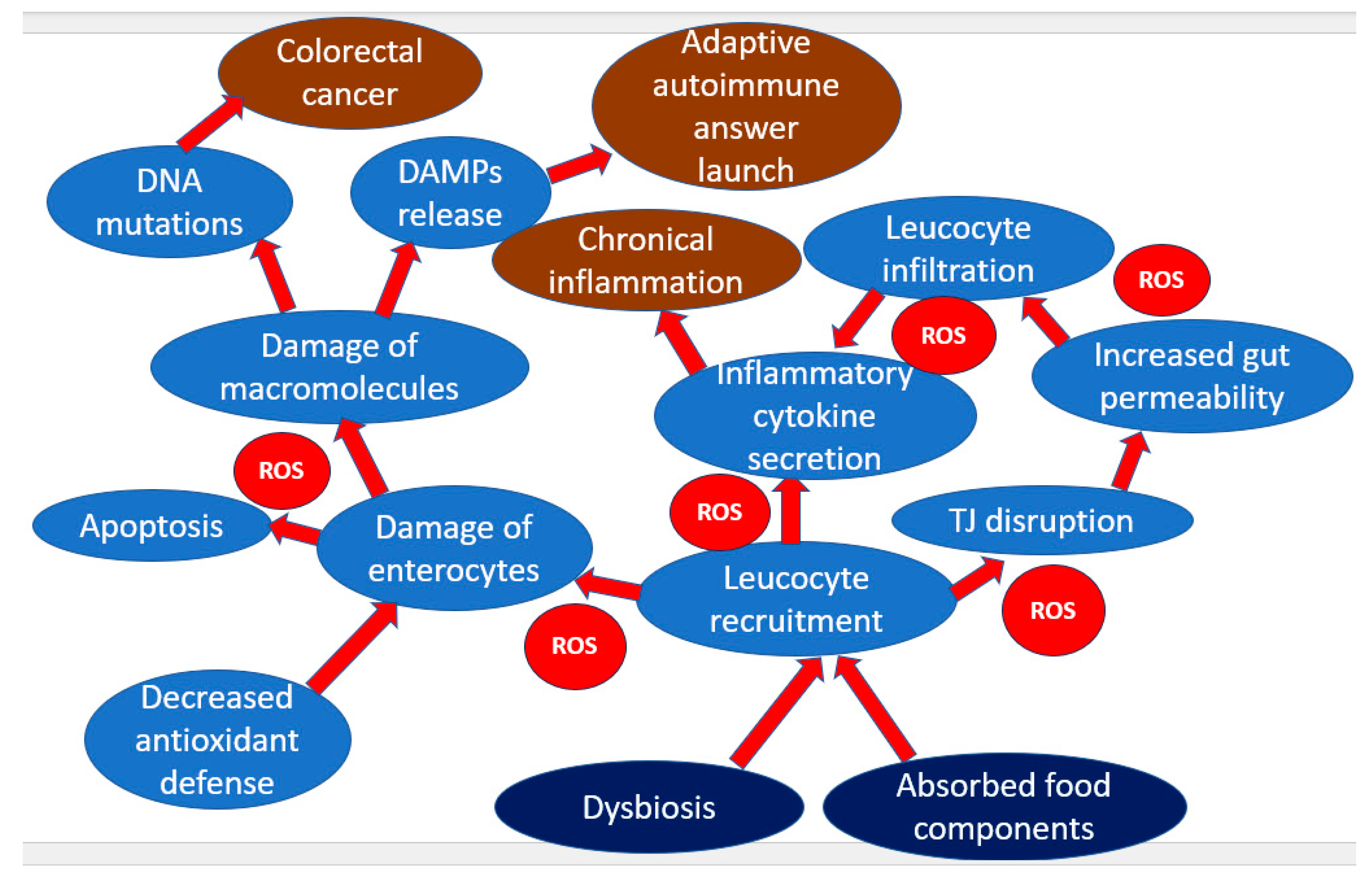 Pharmaceuticals 16 01150 g001