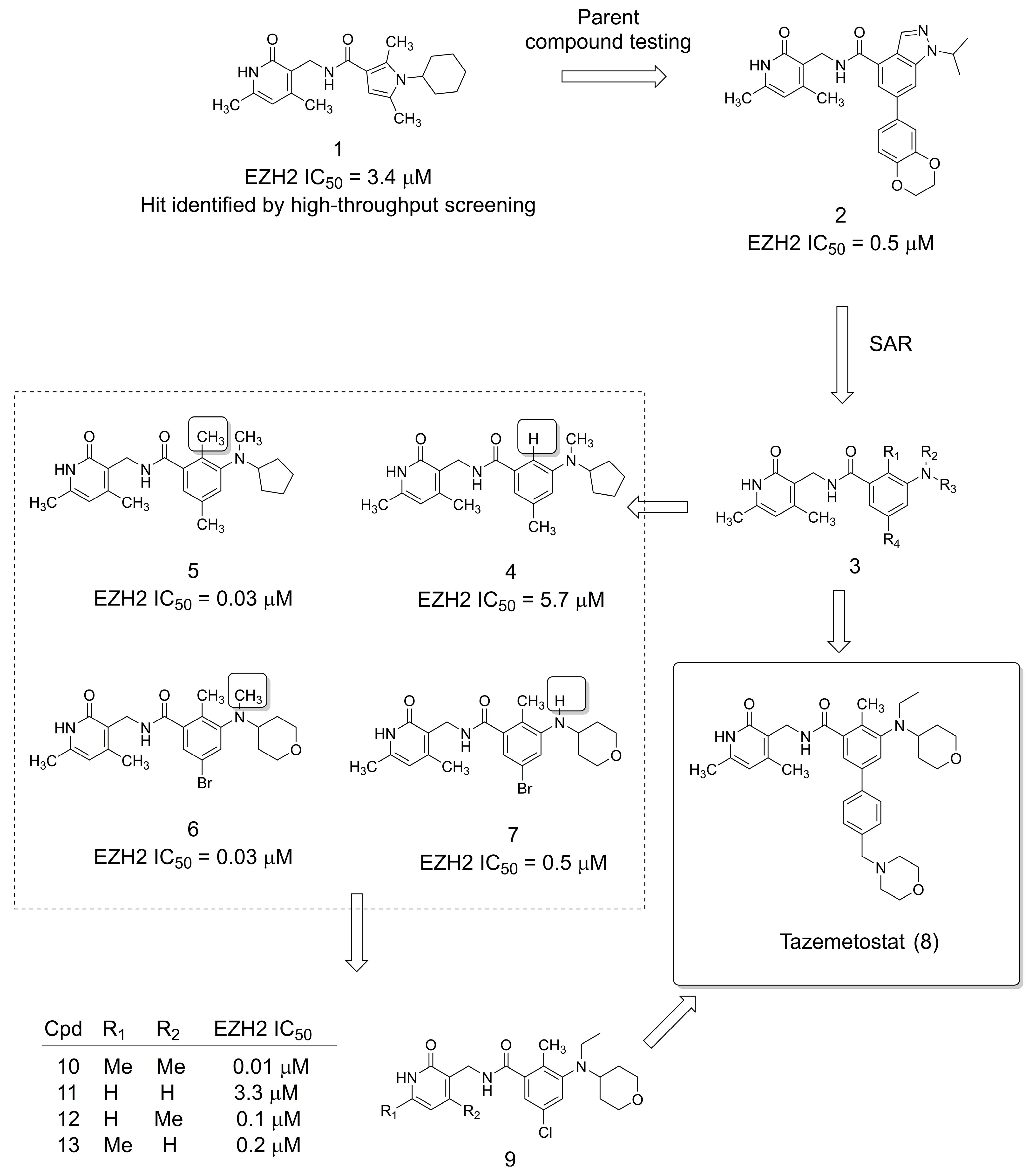 Pharmaceuticals 16 01157 g001