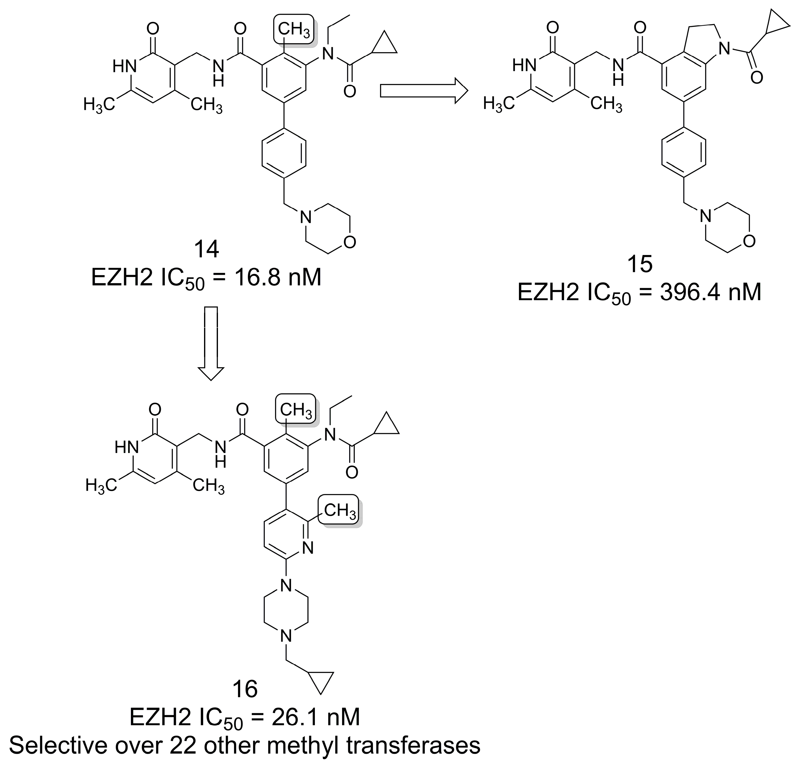 Pharmaceuticals 16 01157 g002