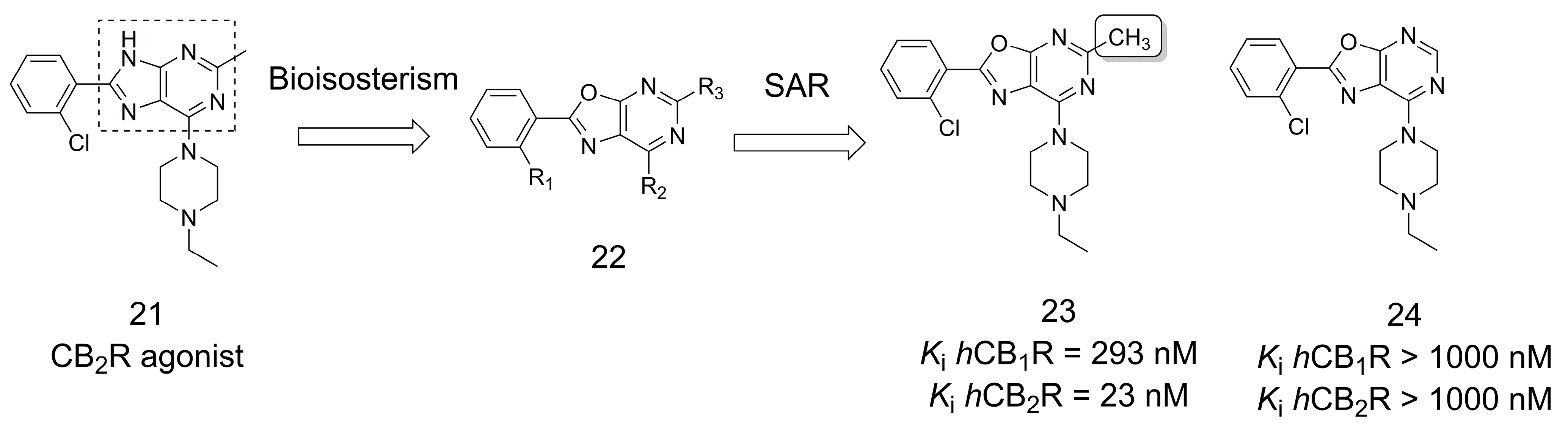 Pharmaceuticals 16 01157 g005
