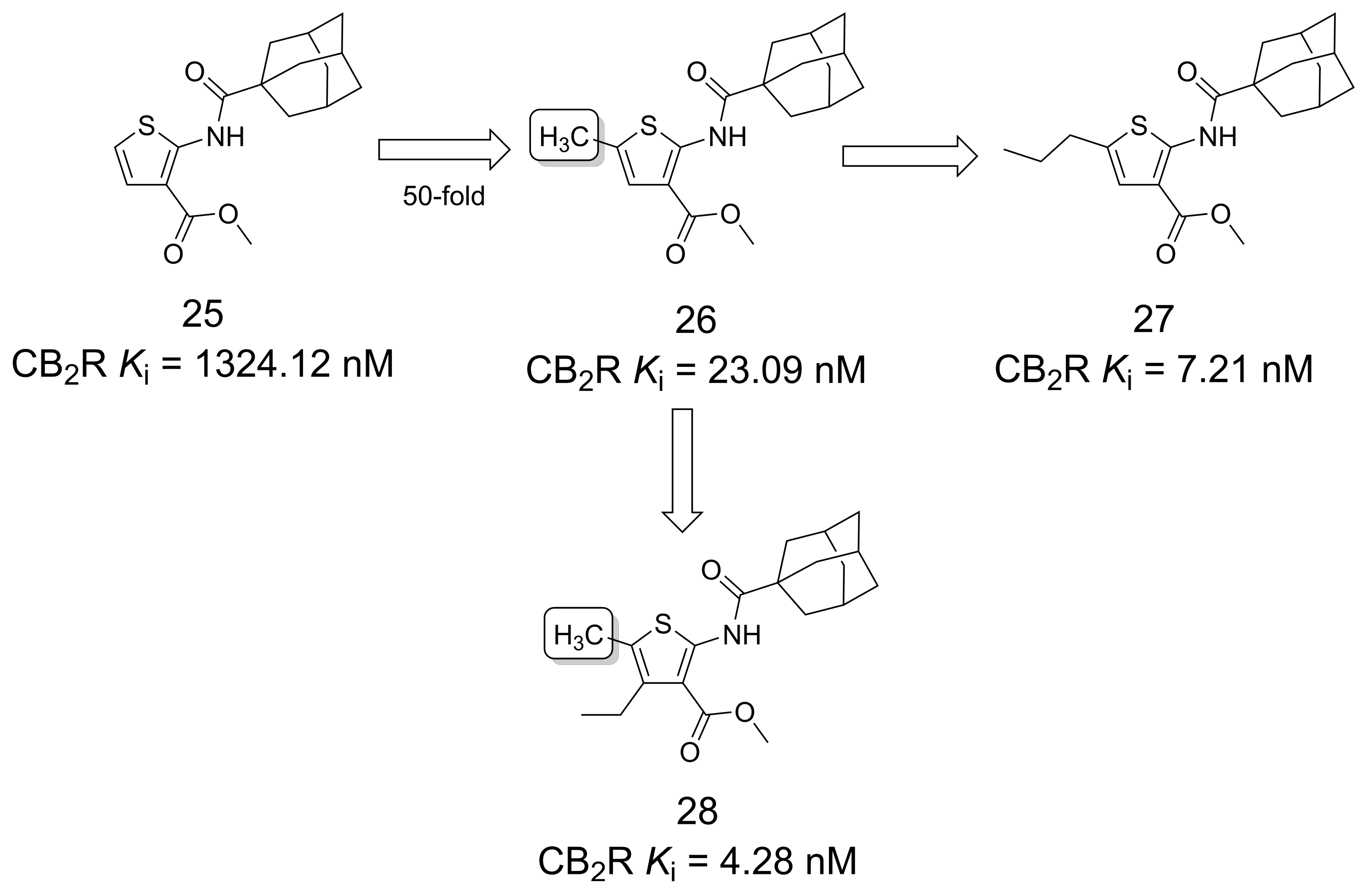 Pharmaceuticals 16 01157 g006