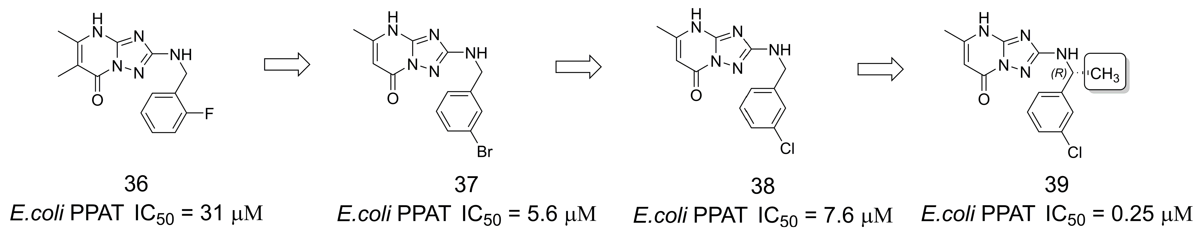 Pharmaceuticals 16 01157 g010