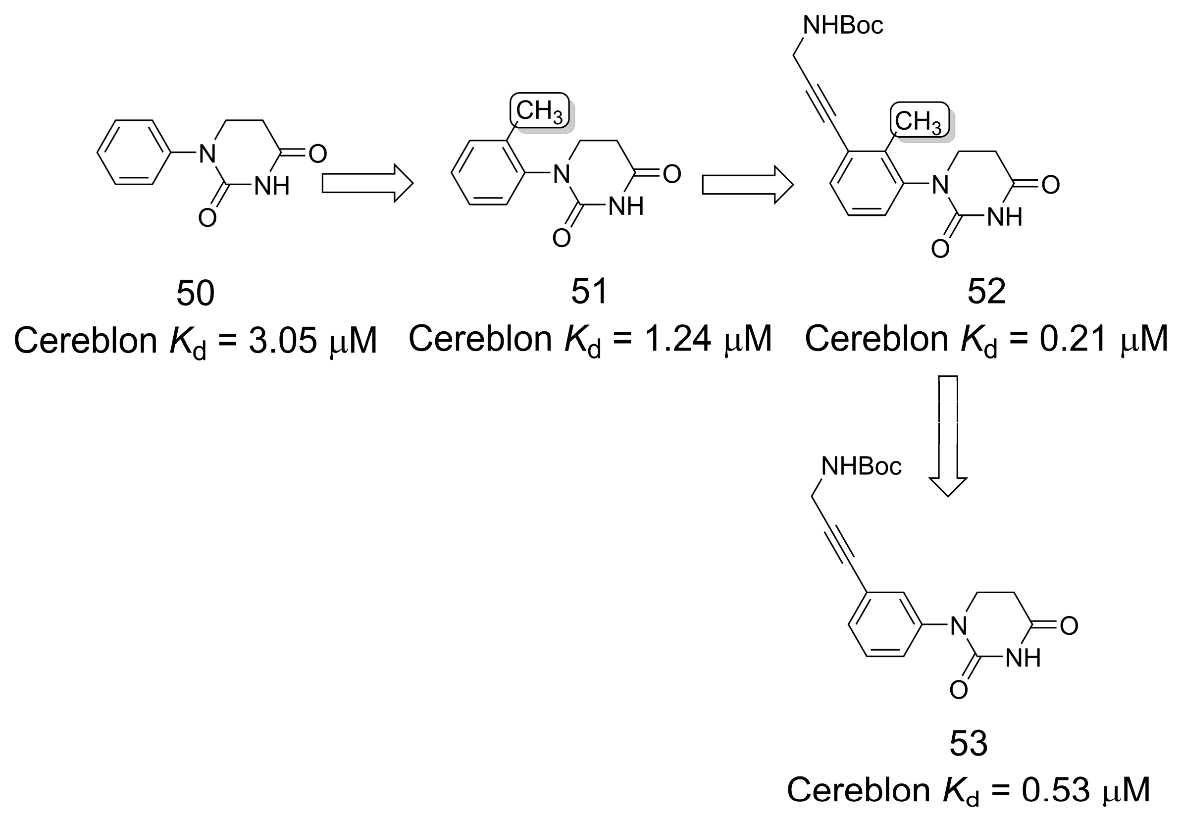 Pharmaceuticals 16 01157 g013