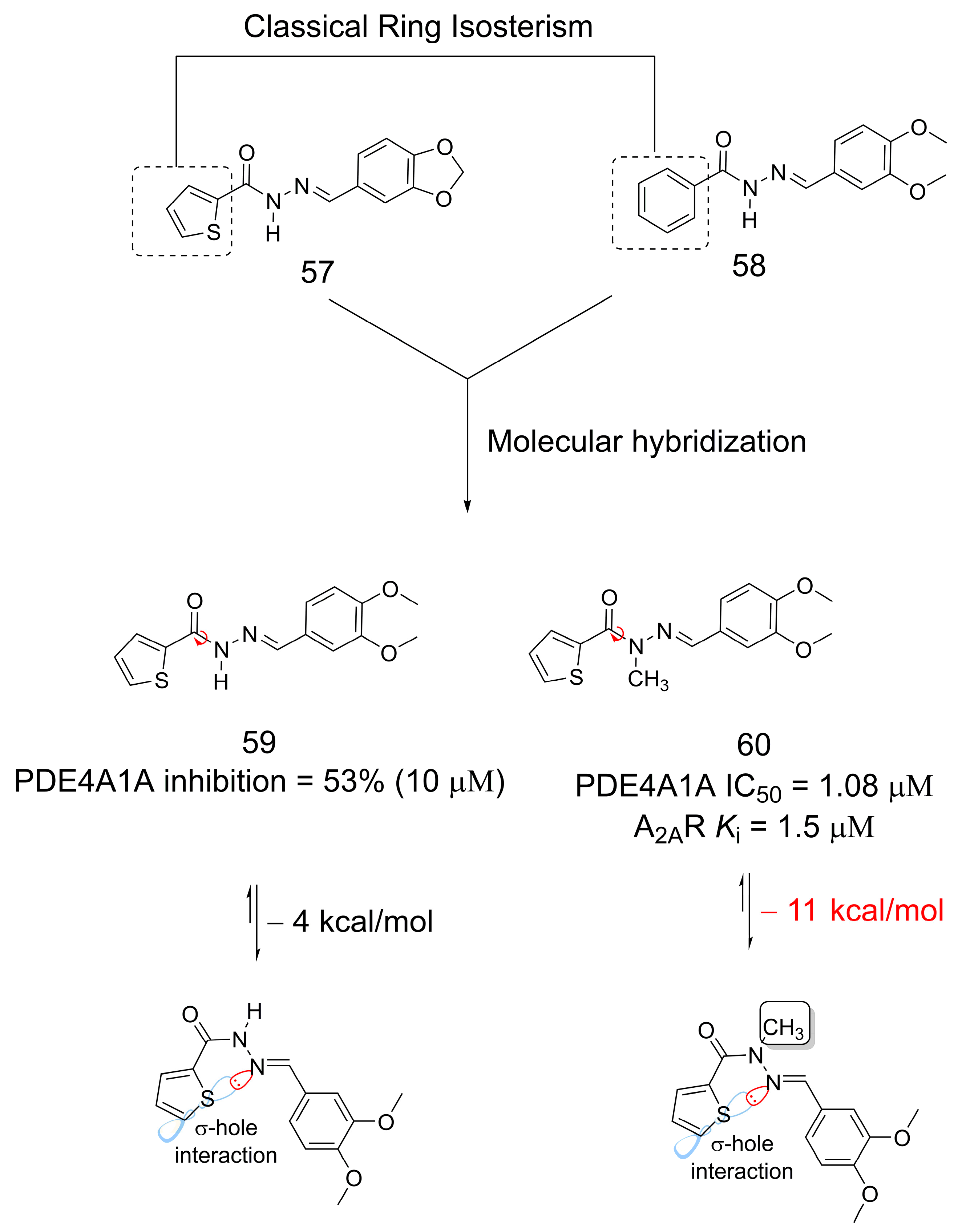 Pharmaceuticals 16 01157 g015