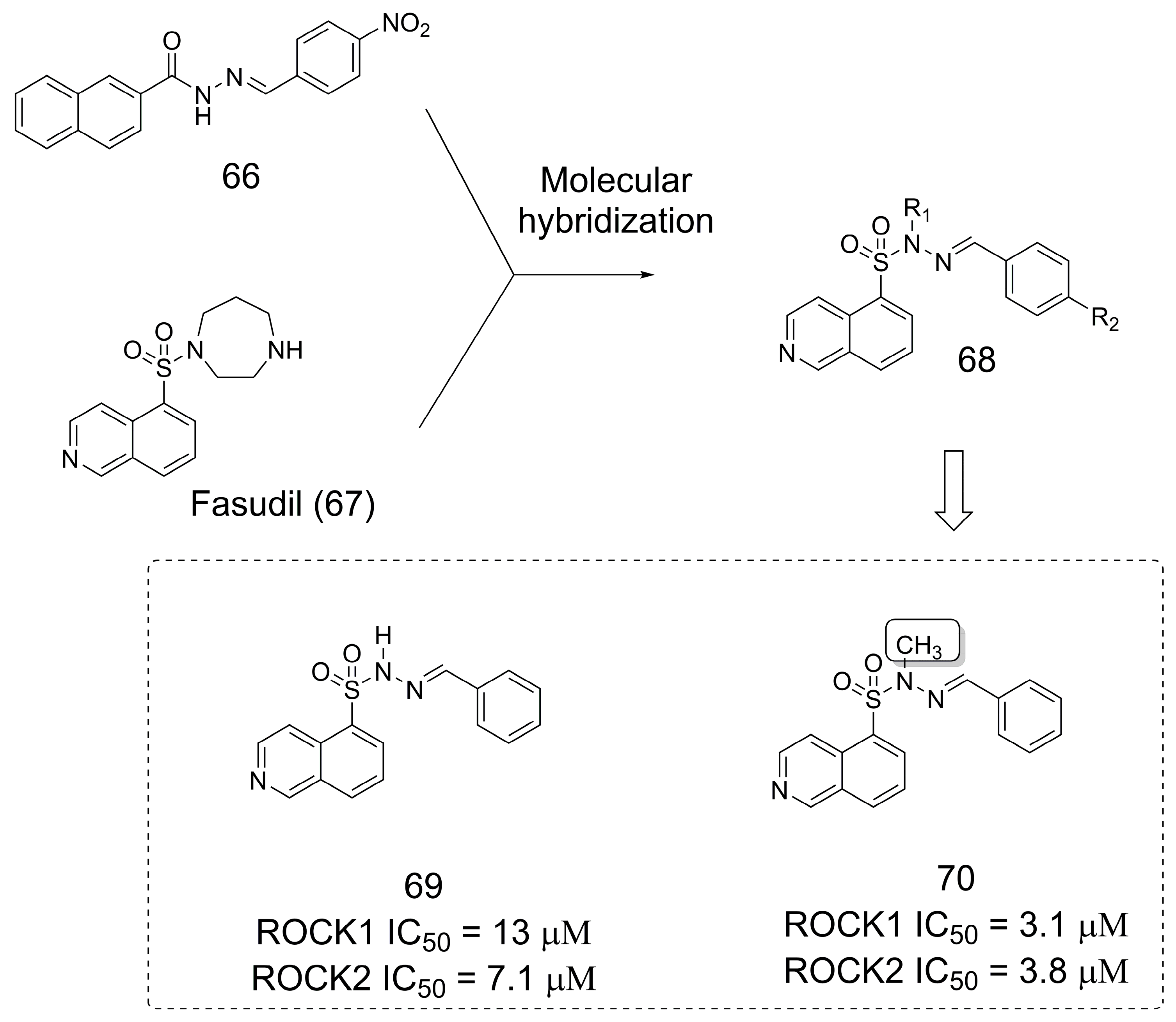Pharmaceuticals 16 01157 g018