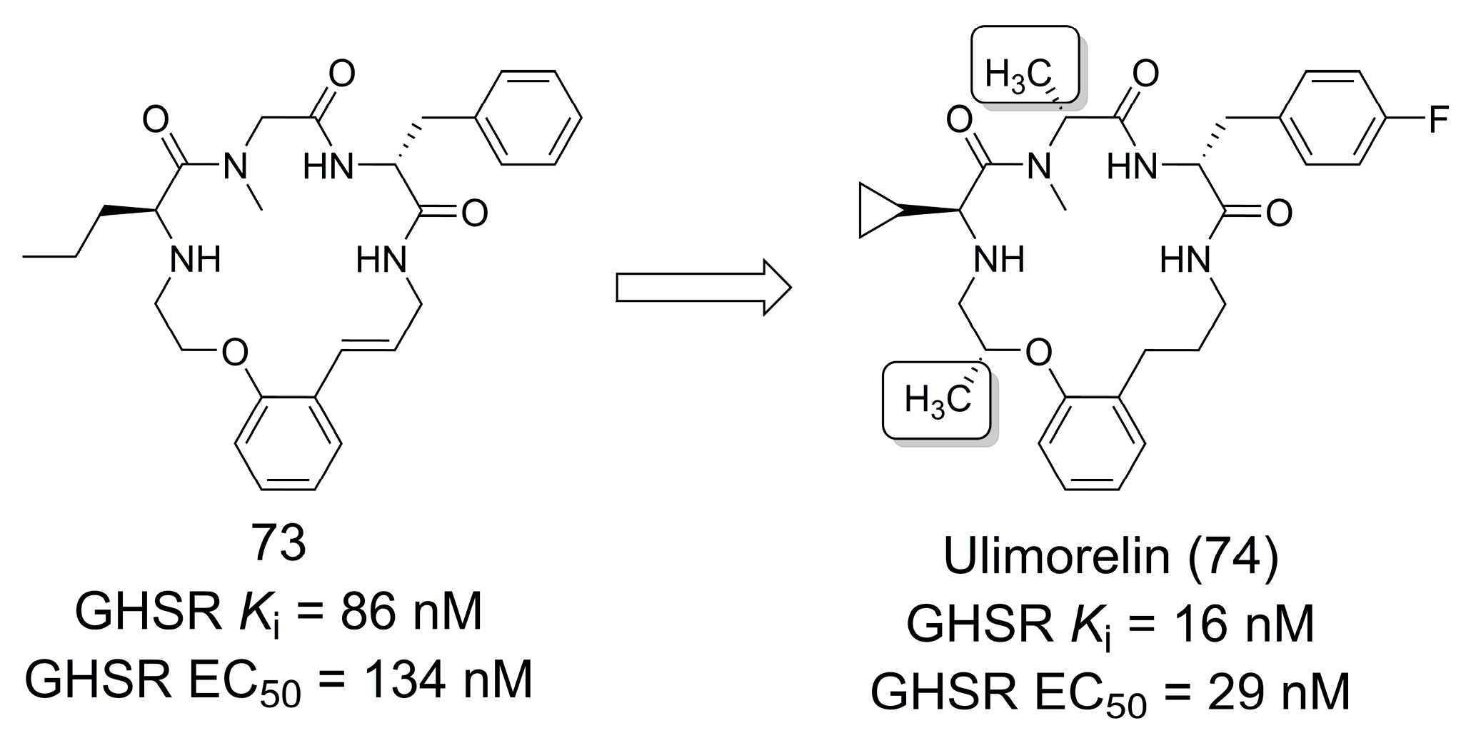 Pharmaceuticals 16 01157 g020