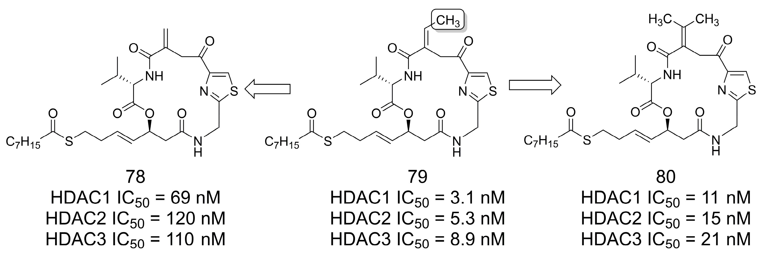 Pharmaceuticals 16 01157 g022