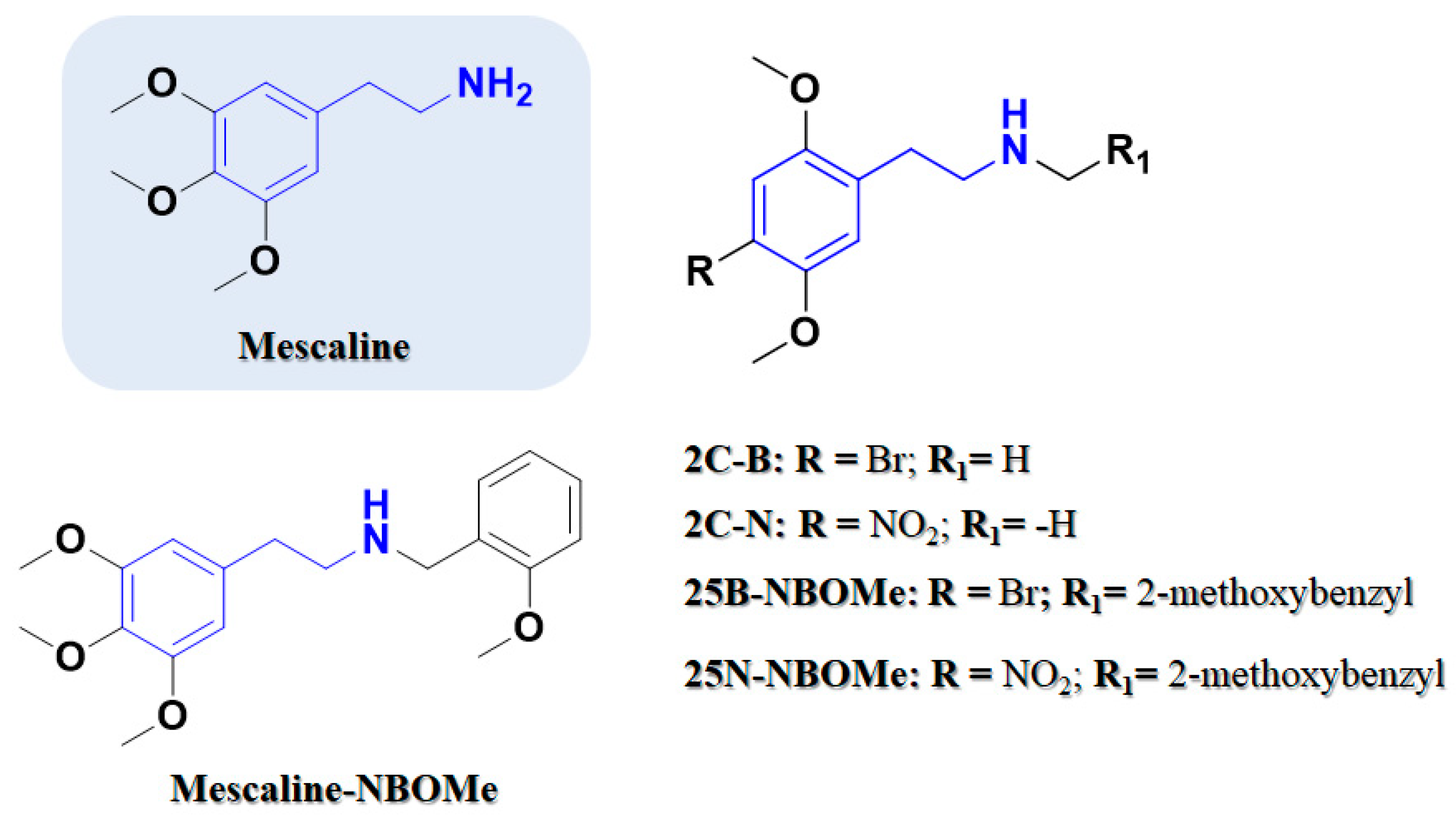 Pharmaceuticals 16 01158 g002