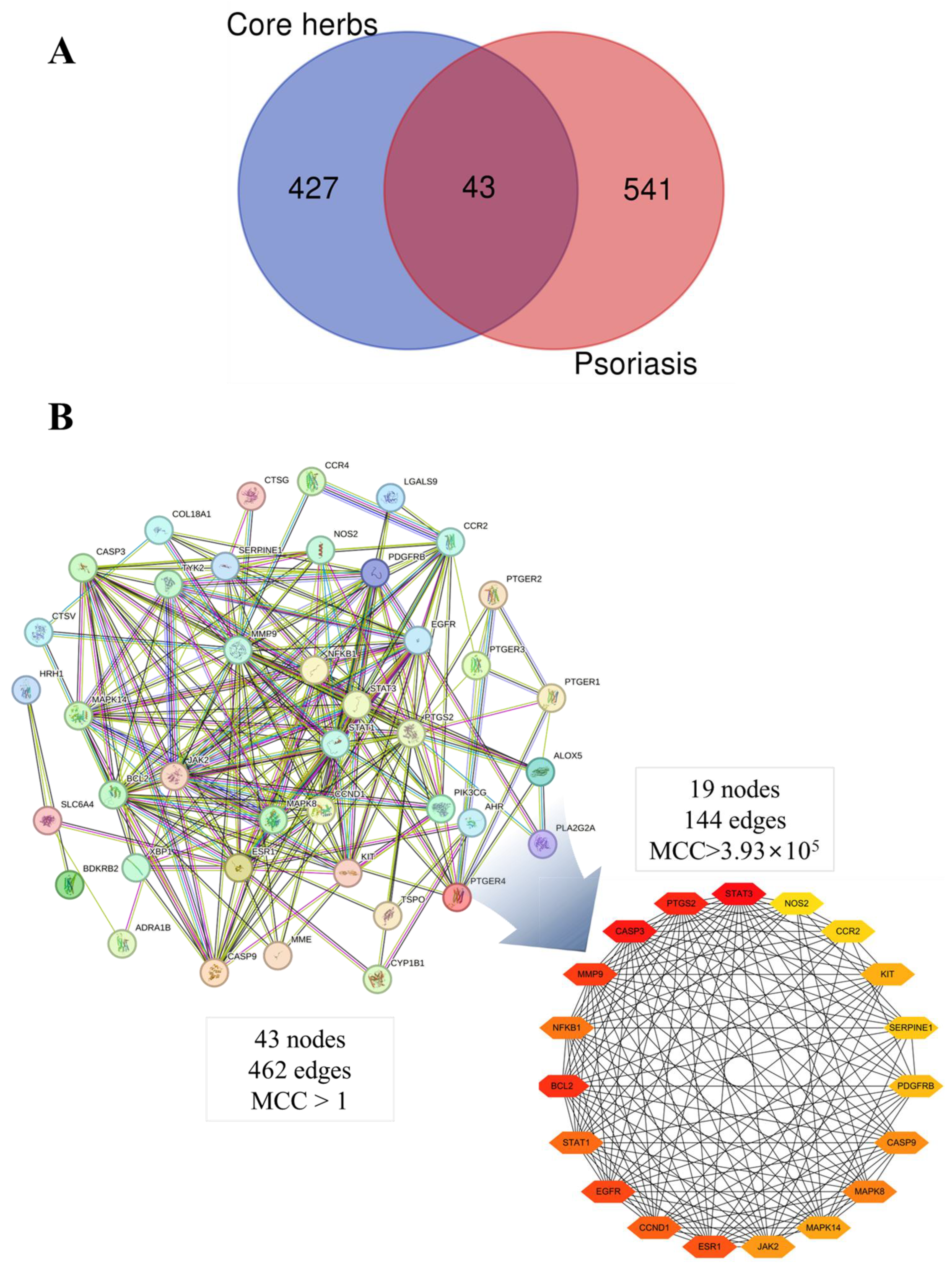 Pharmaceuticals 16 01160 g013