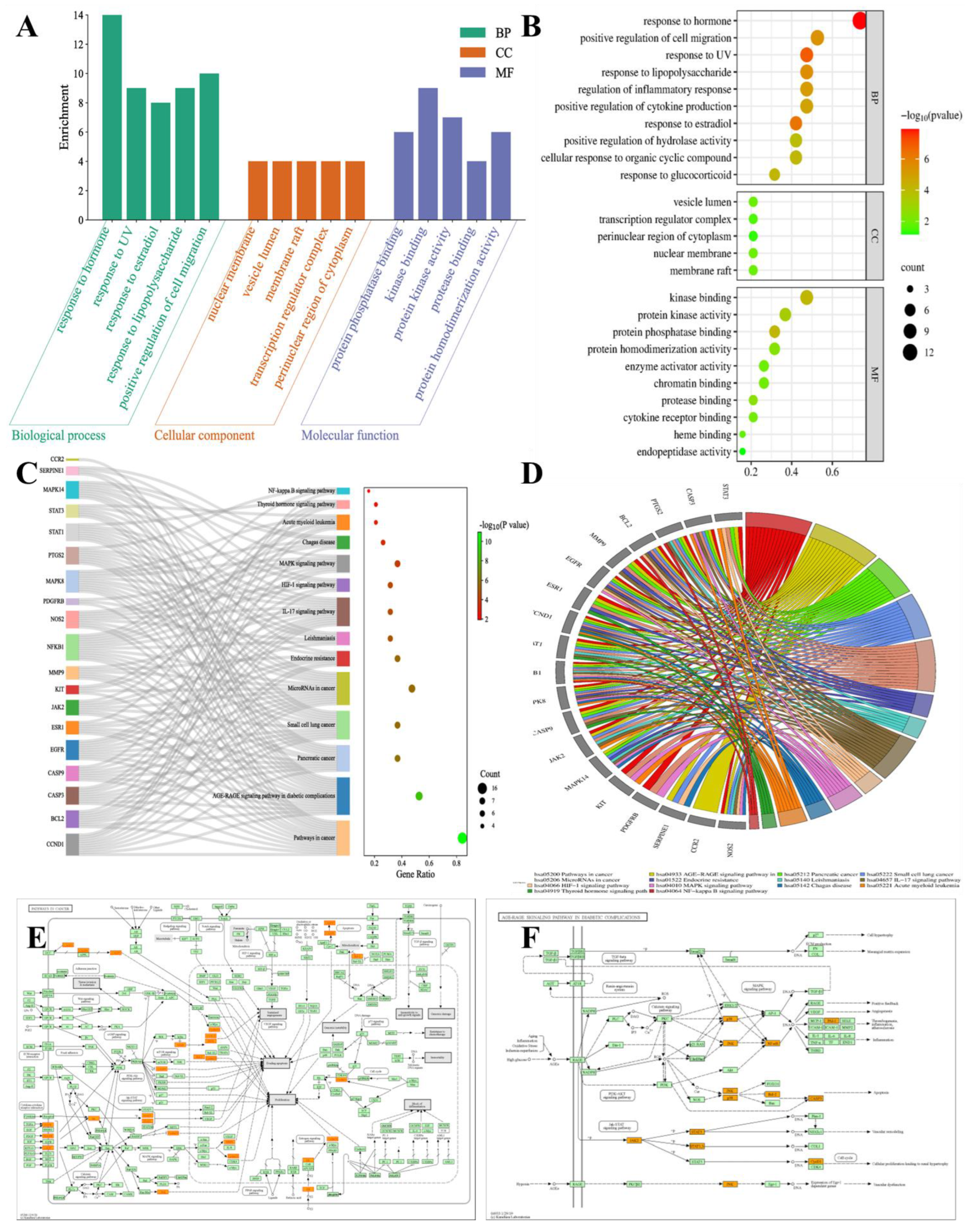 Pharmaceuticals 16 01160 g014