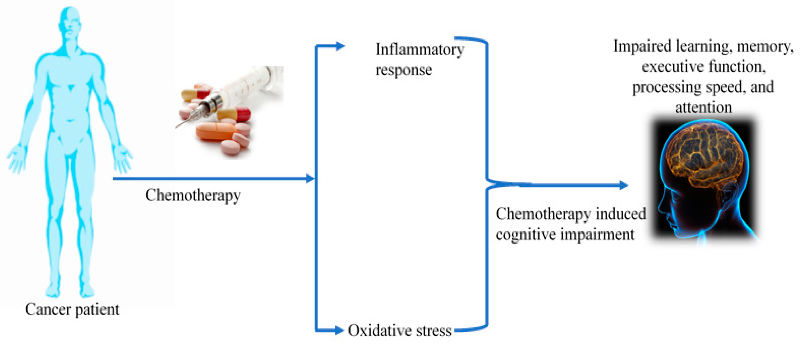 Pharmaceuticals 16 01165 g001 Pharmaceuticals 16 01165 g001