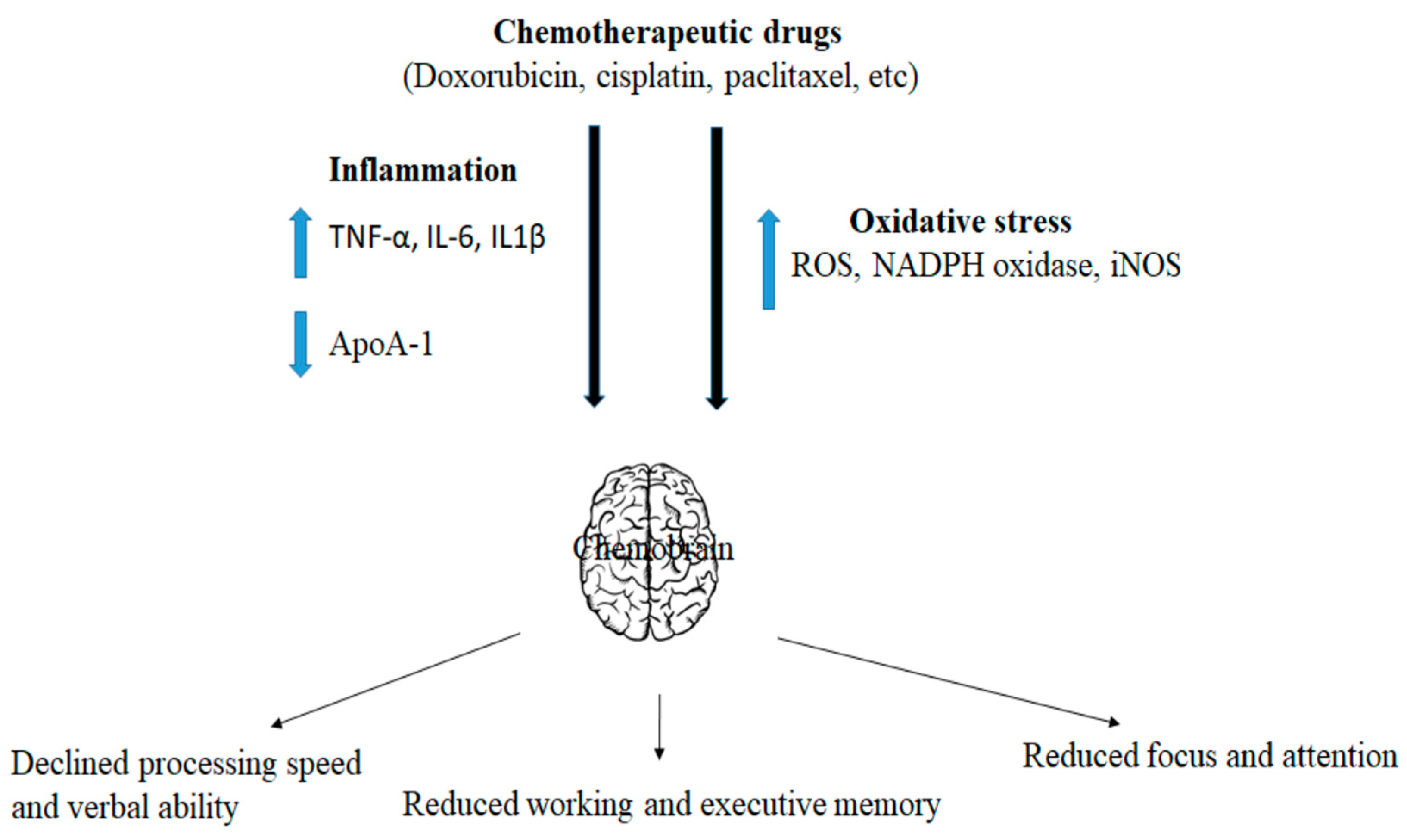 Pharmaceuticals 16 01165 g002 Pharmaceuticals 16 01165 g002
