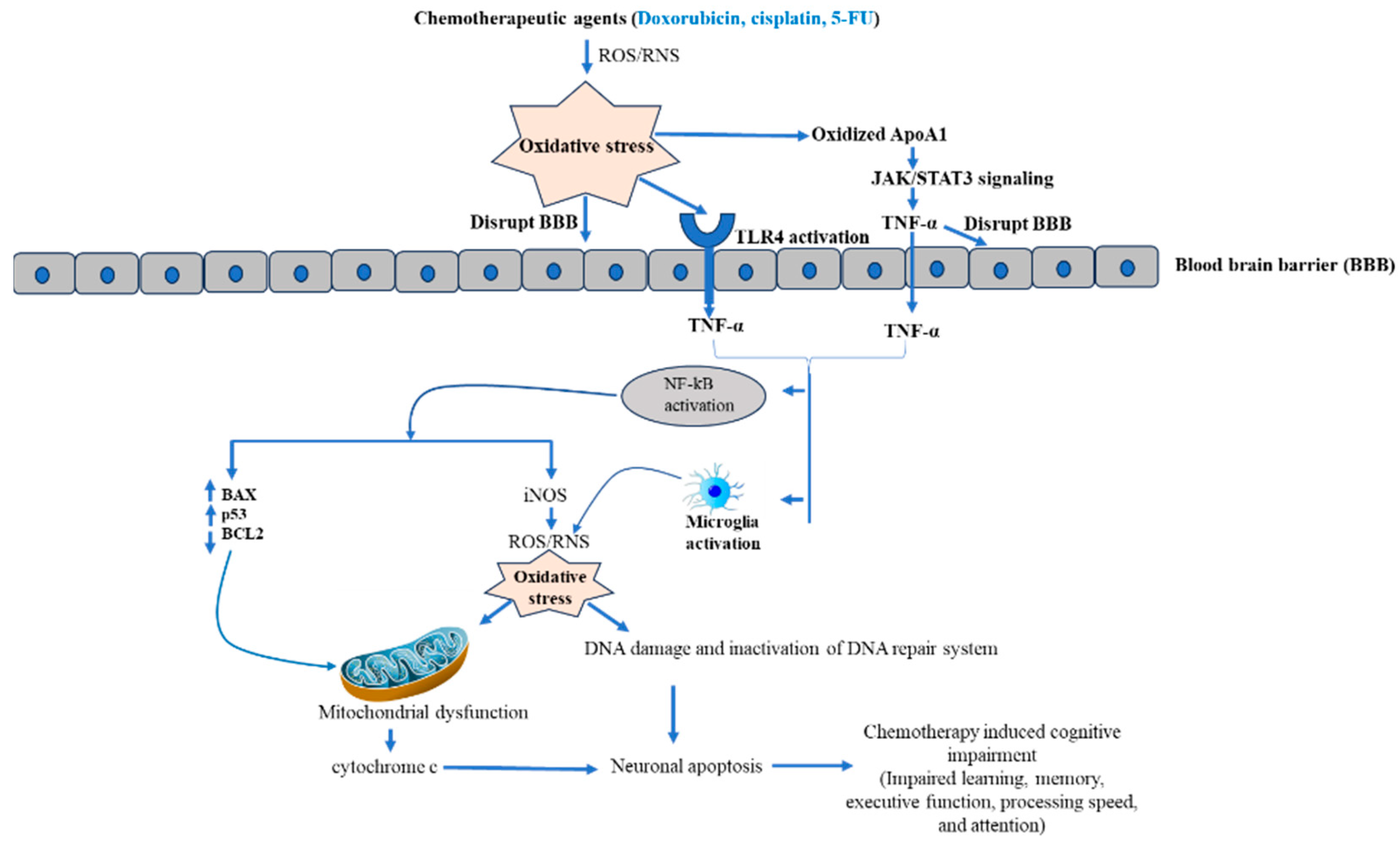 Pharmaceuticals 16 01165 g003 Pharmaceuticals 16 01165 g003