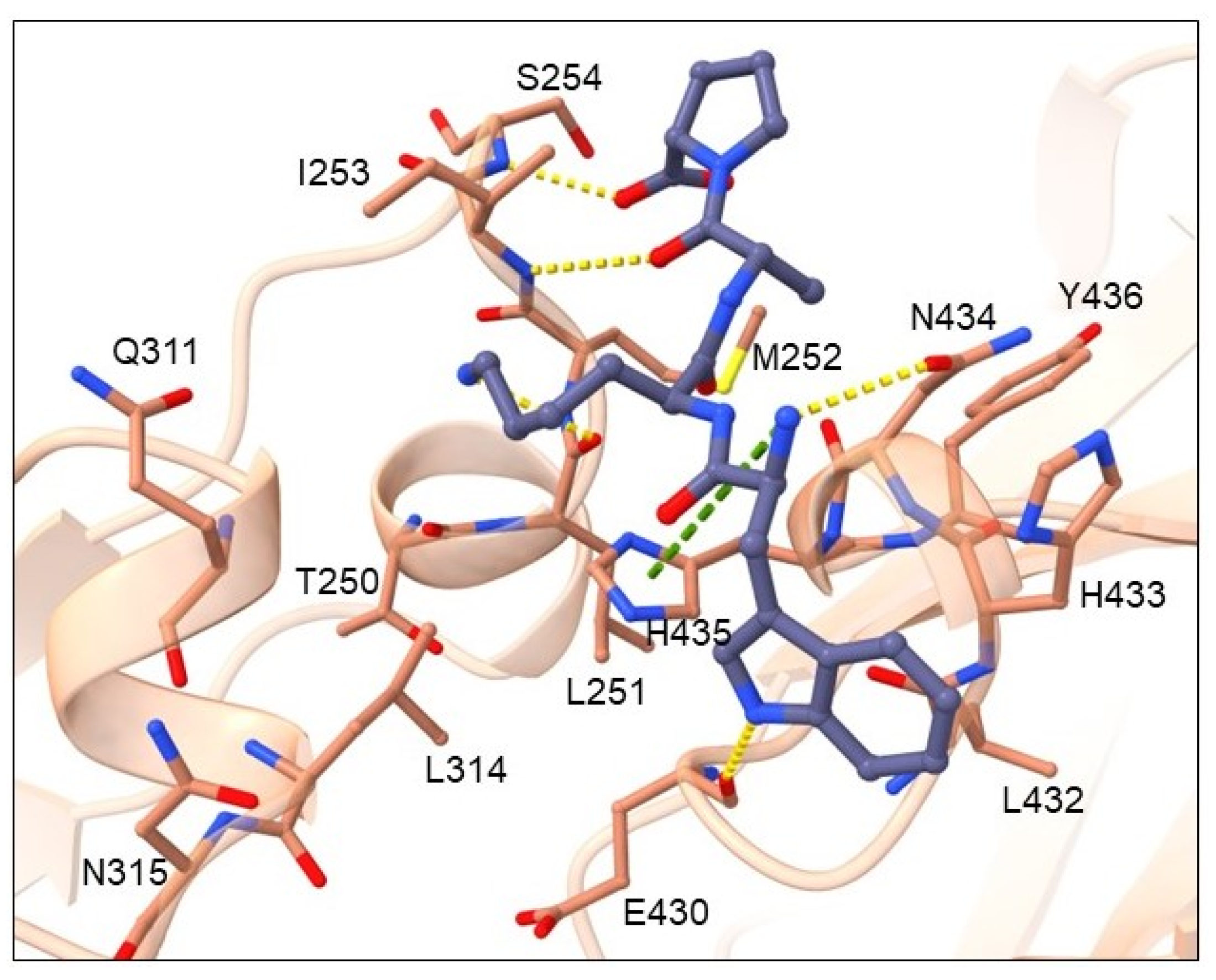 Pharmaceuticals 16 01170 g006