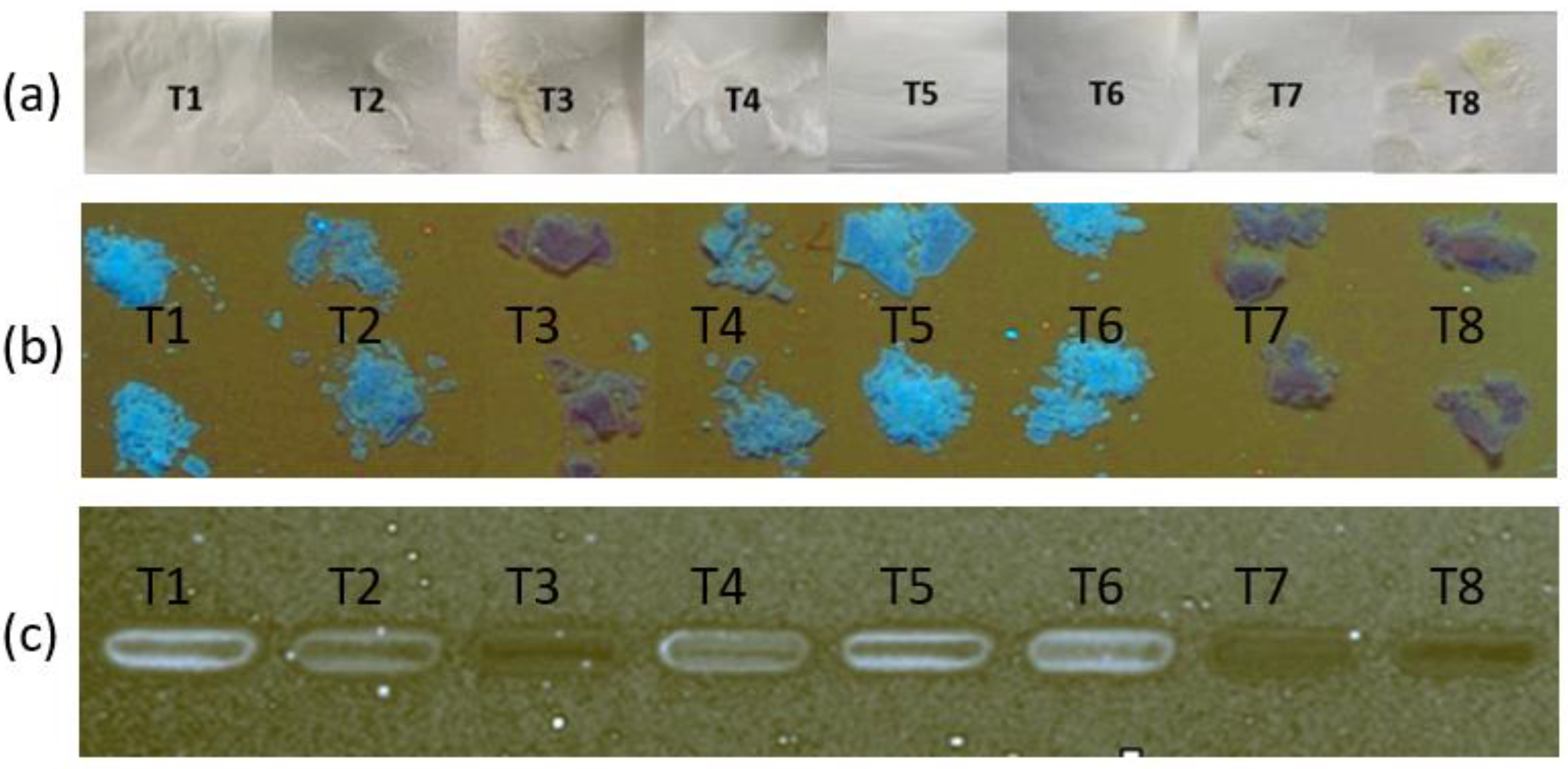 Pharmaceuticals 16 01171 g004