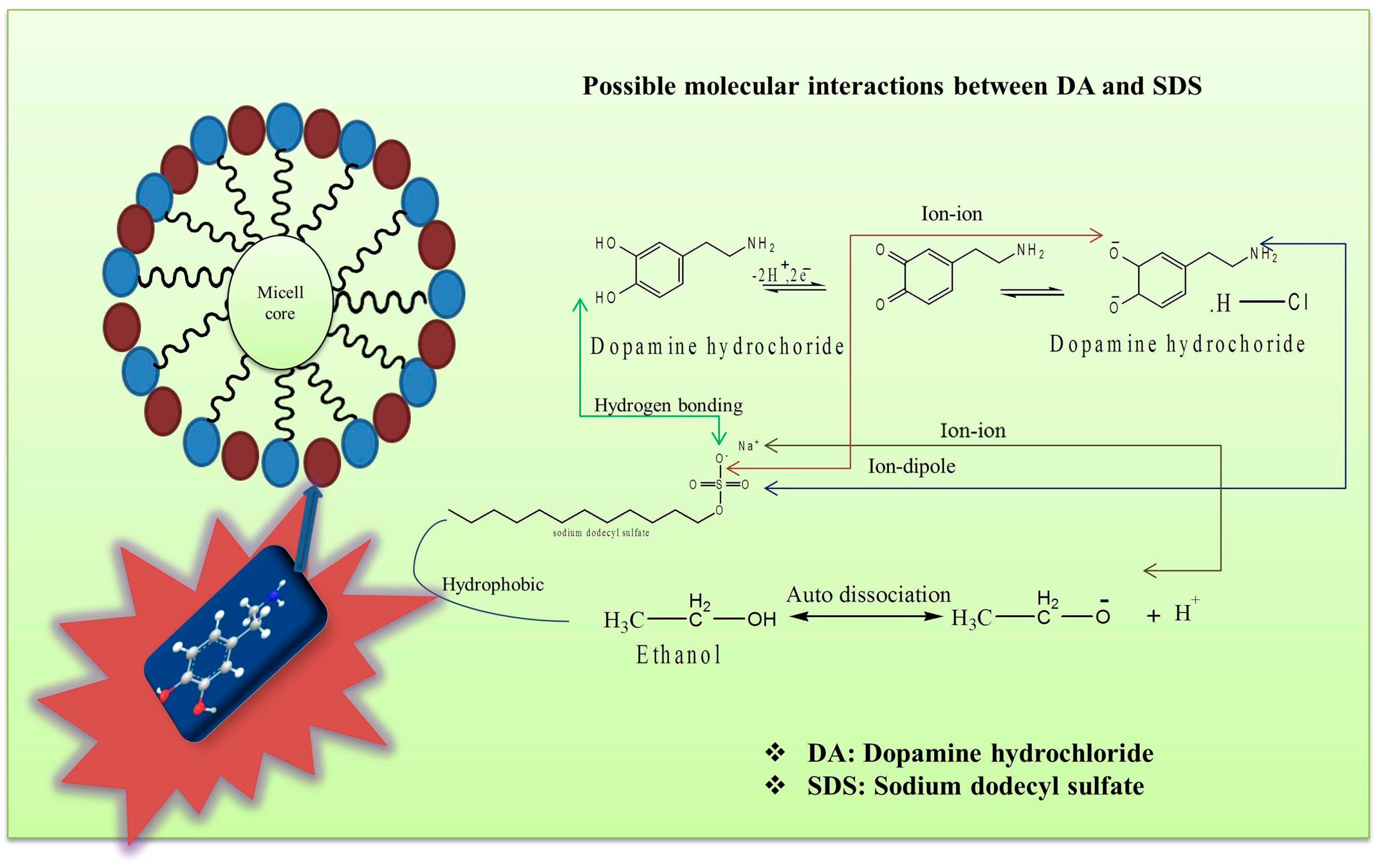 Pharmaceuticals 16 01187 g002