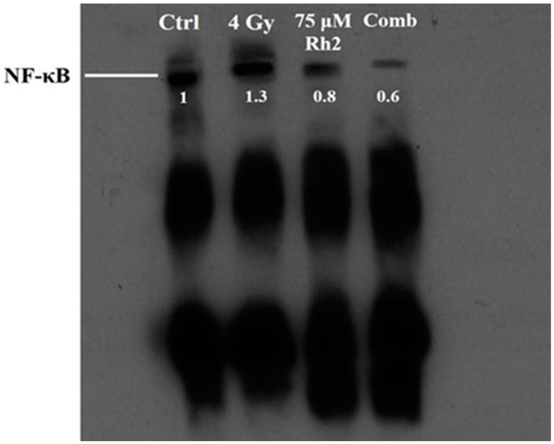 Pharmaceuticals 16 01188 g004
