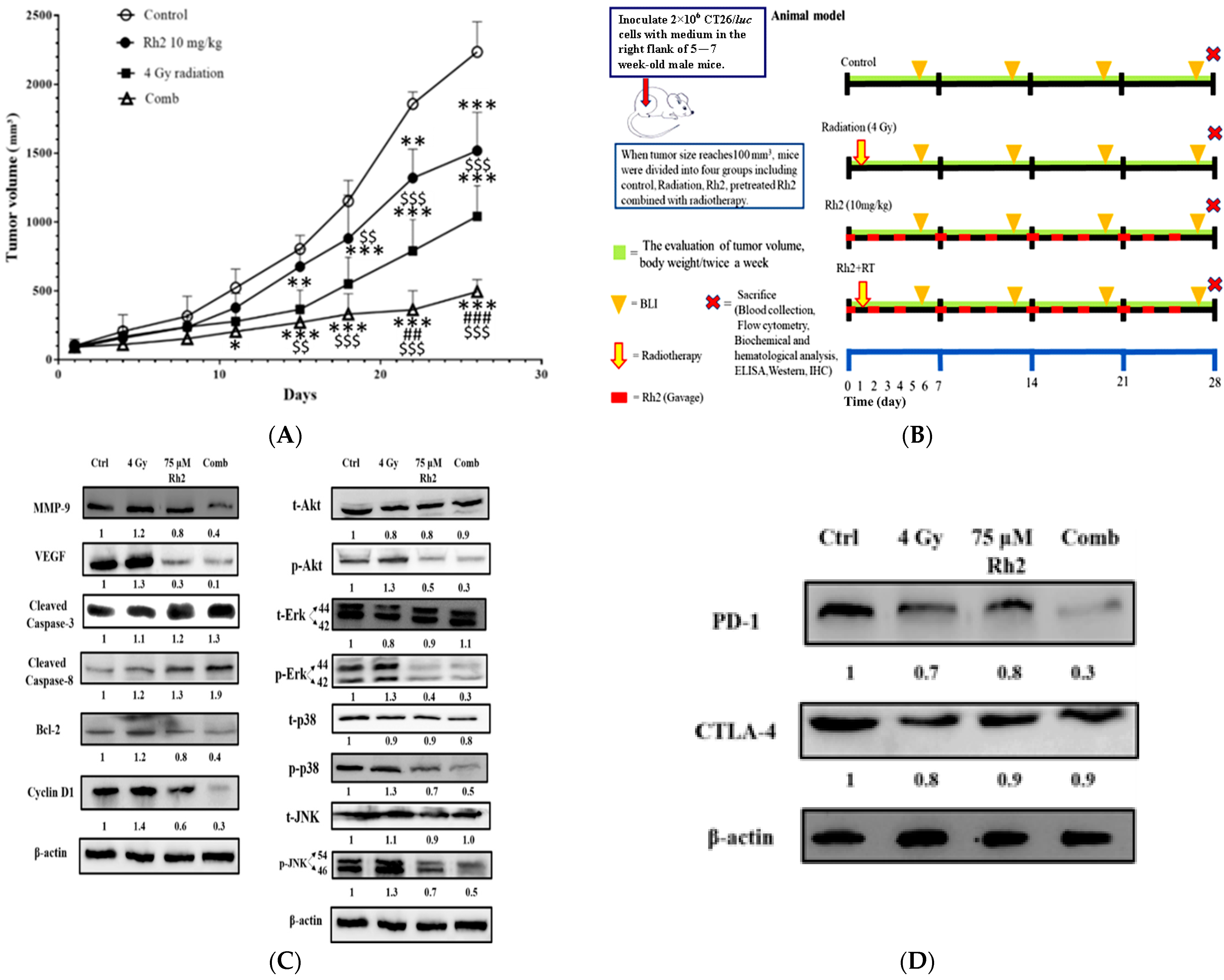 Pharmaceuticals 16 01188 g006