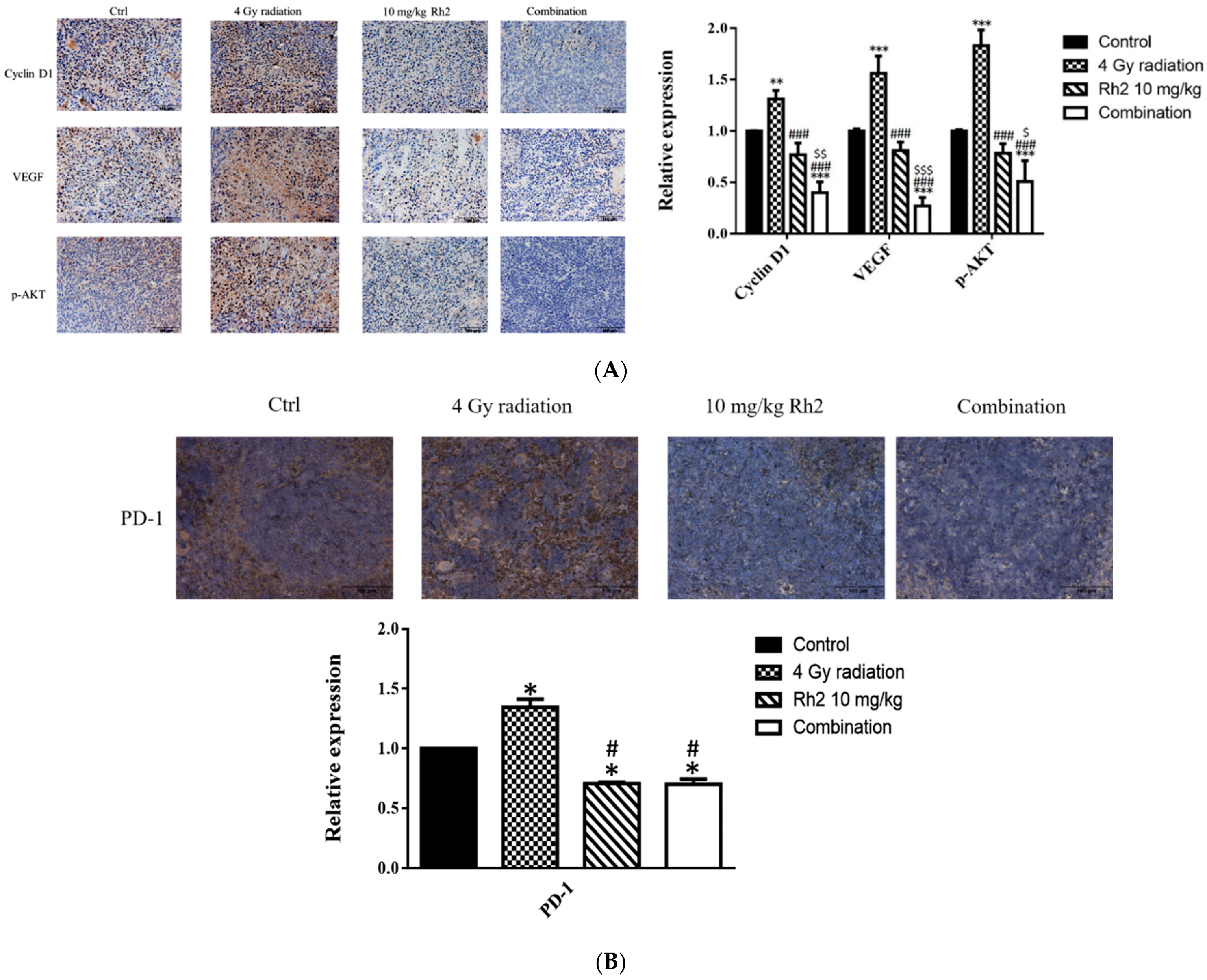 Pharmaceuticals 16 01188 g009
