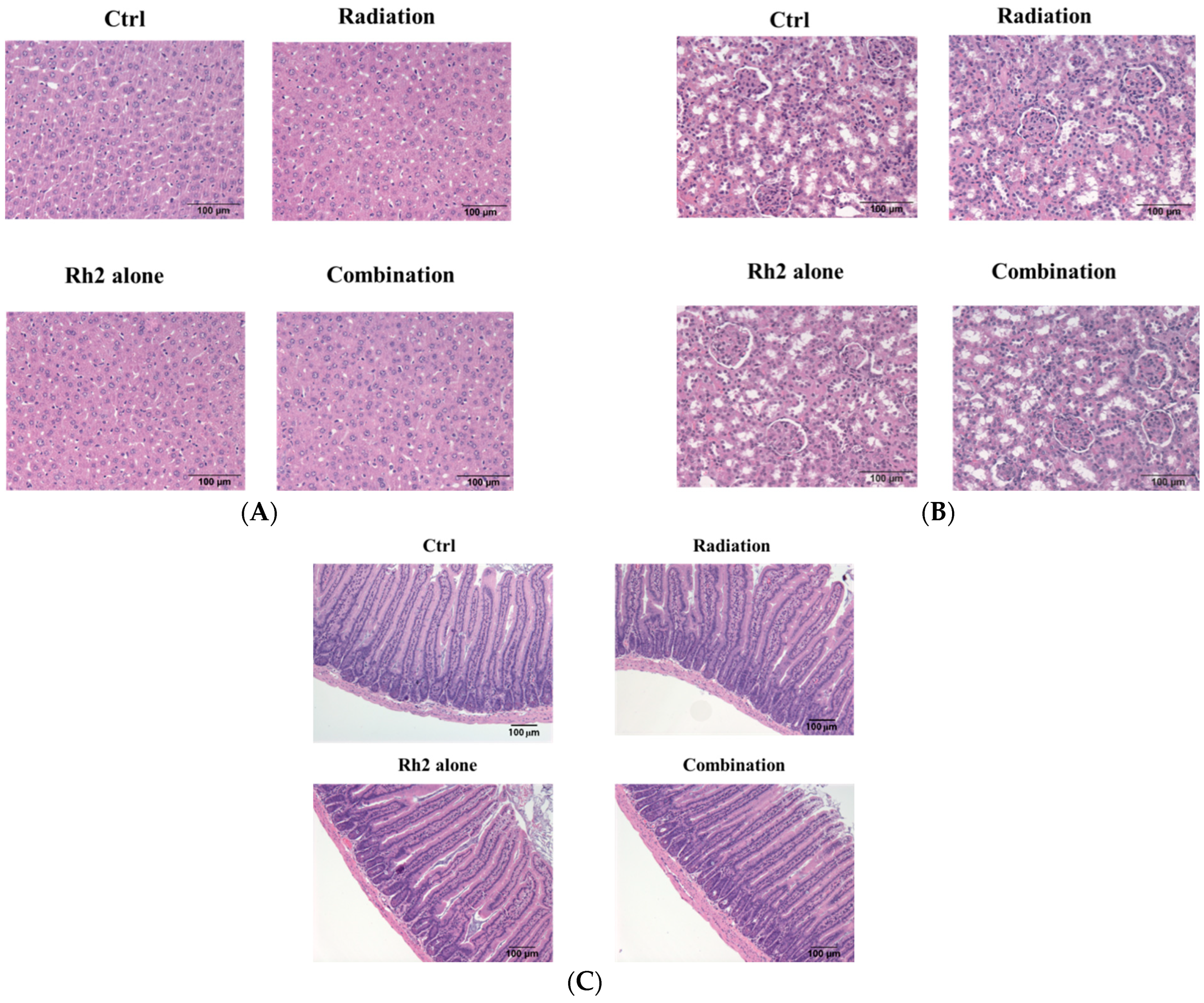 Pharmaceuticals 16 01188 g010