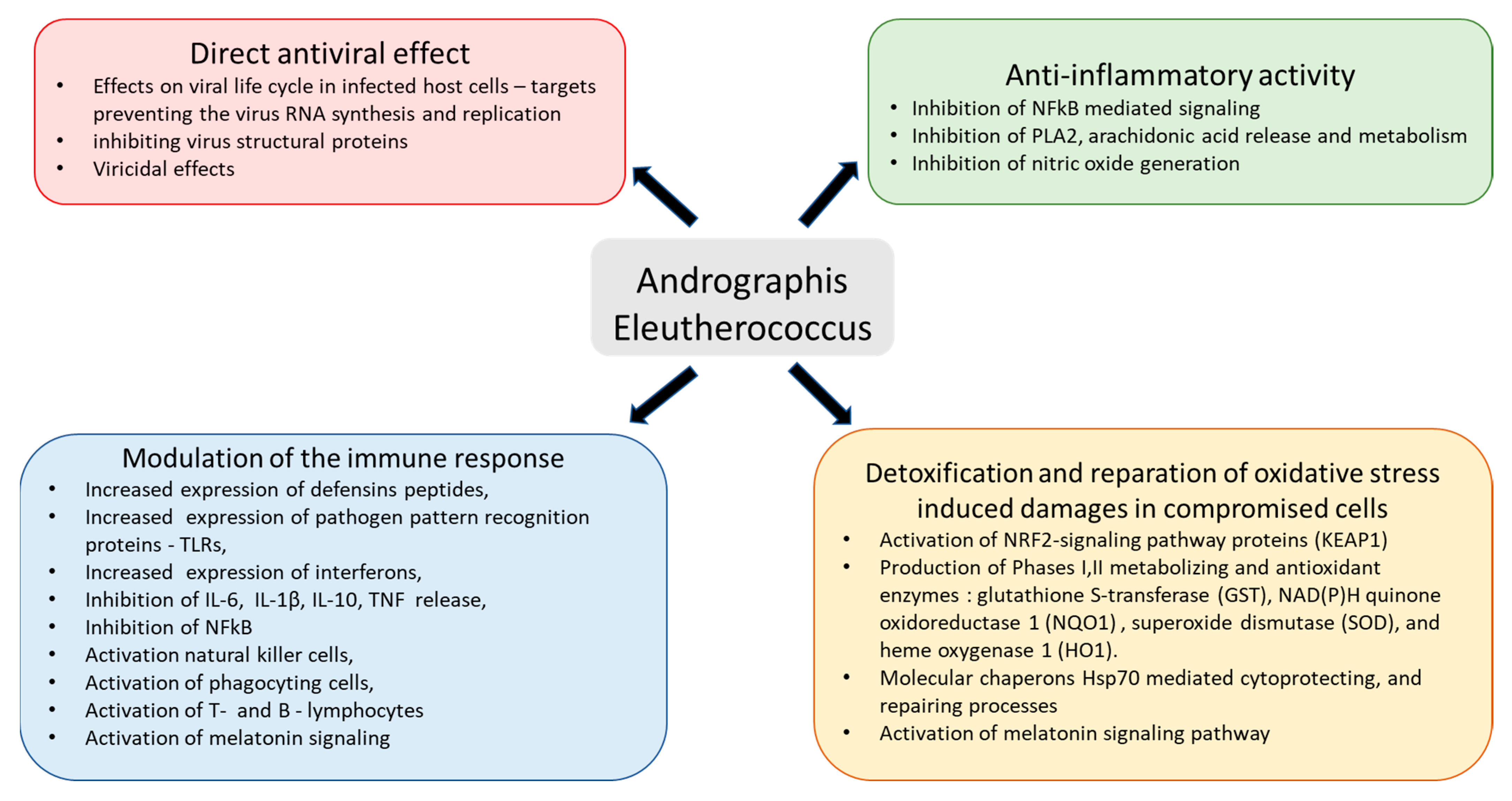 Pharmaceuticals 16 01196 g001