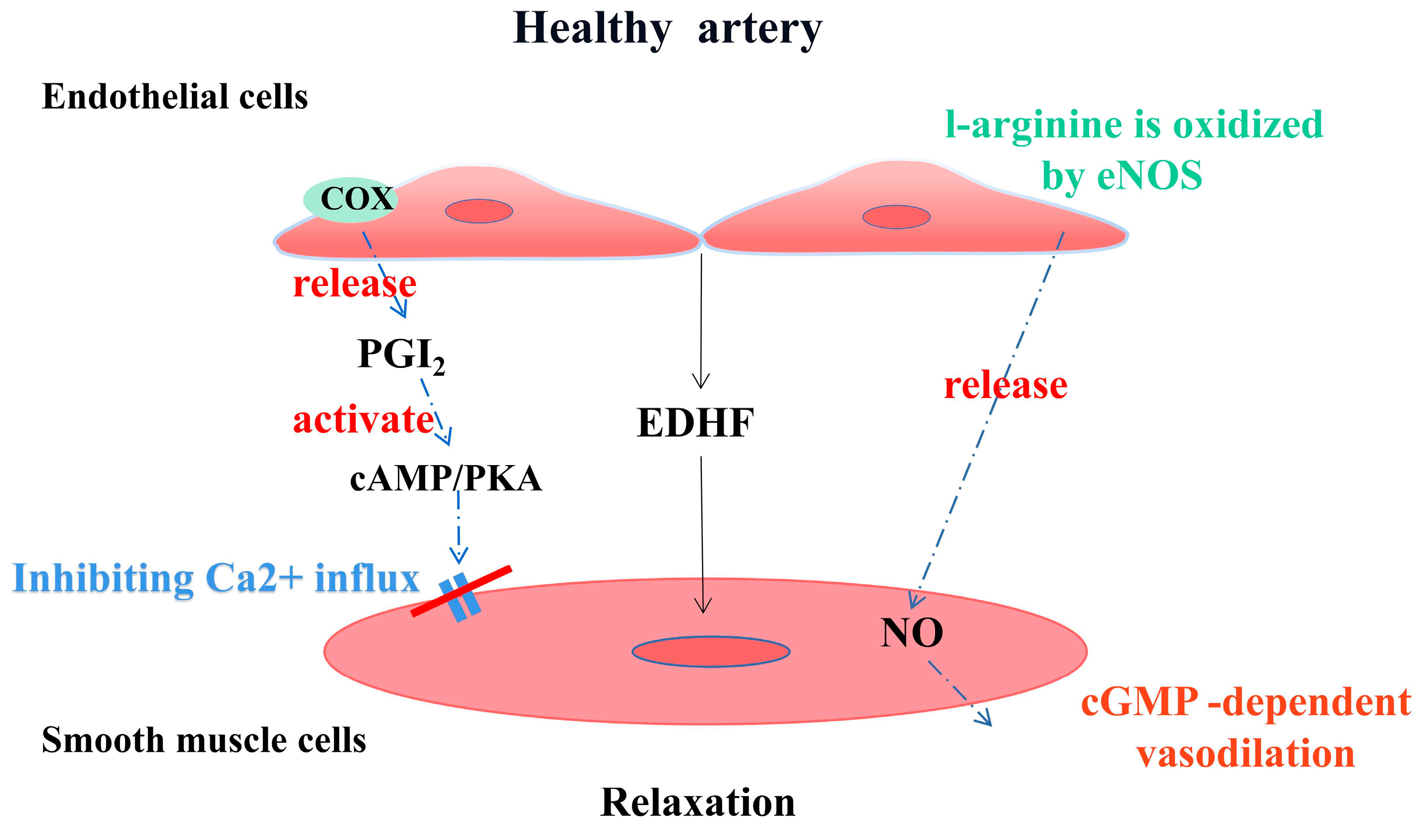 Pharmaceuticals 16 01201 g002