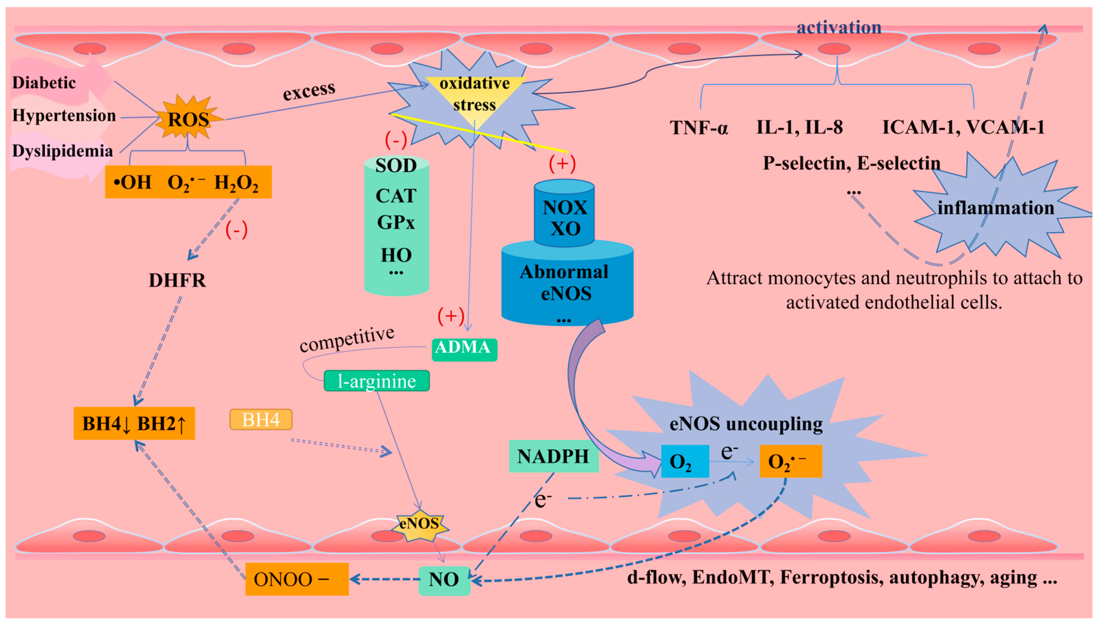 Pharmaceuticals 16 01201 g004