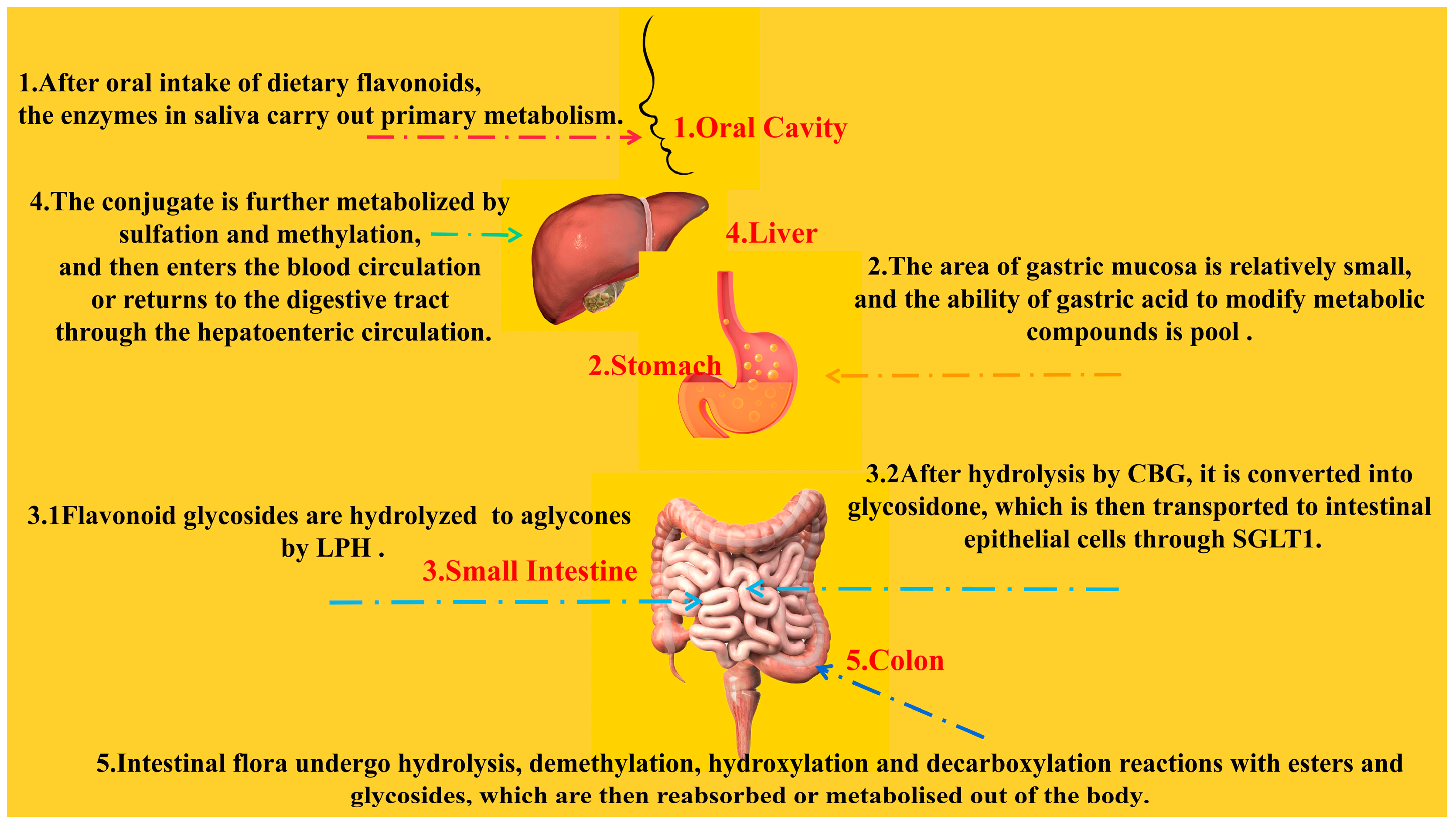 Pharmaceuticals 16 01201 g007