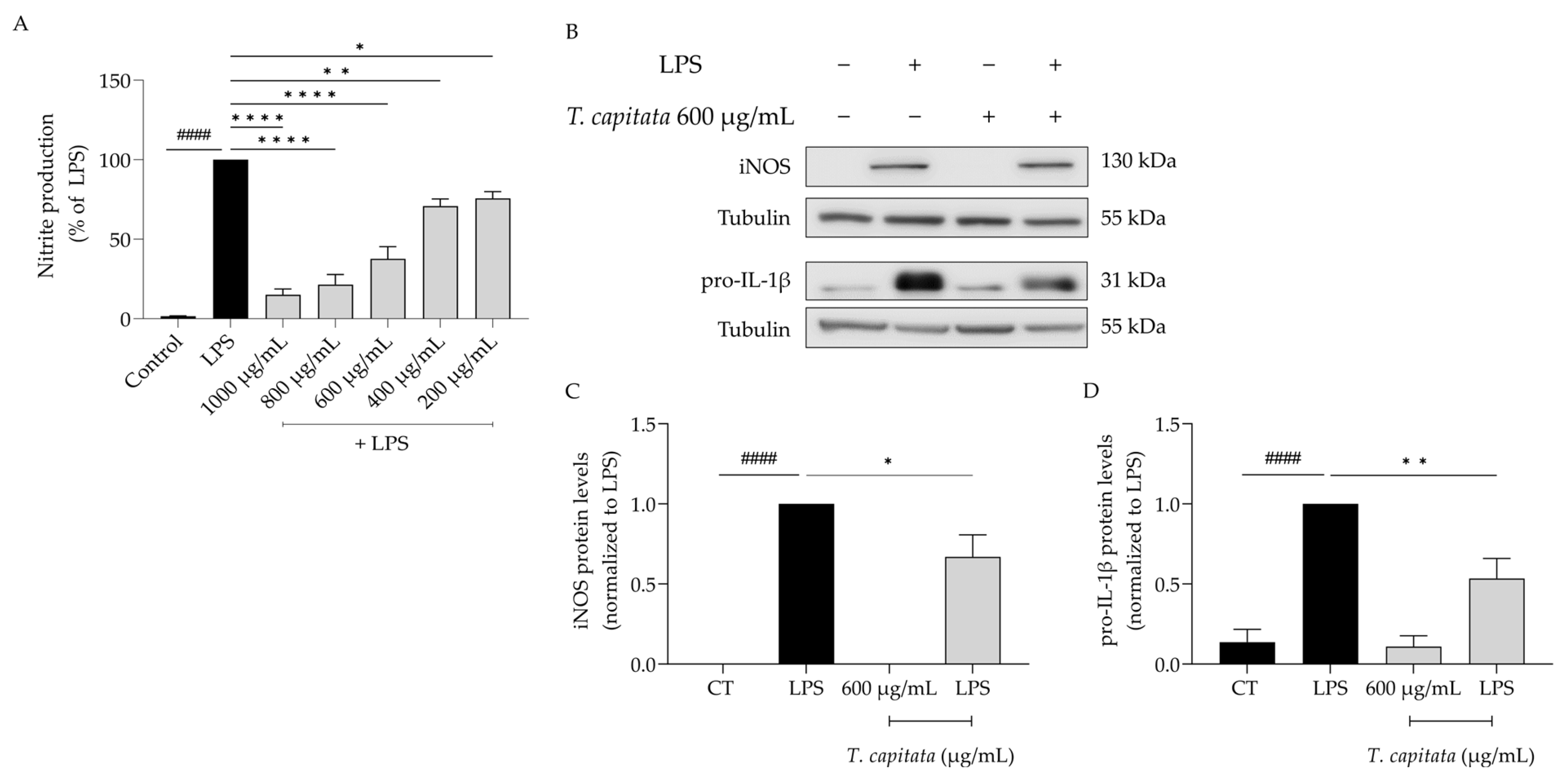 Pharmaceuticals 16 01202 g003