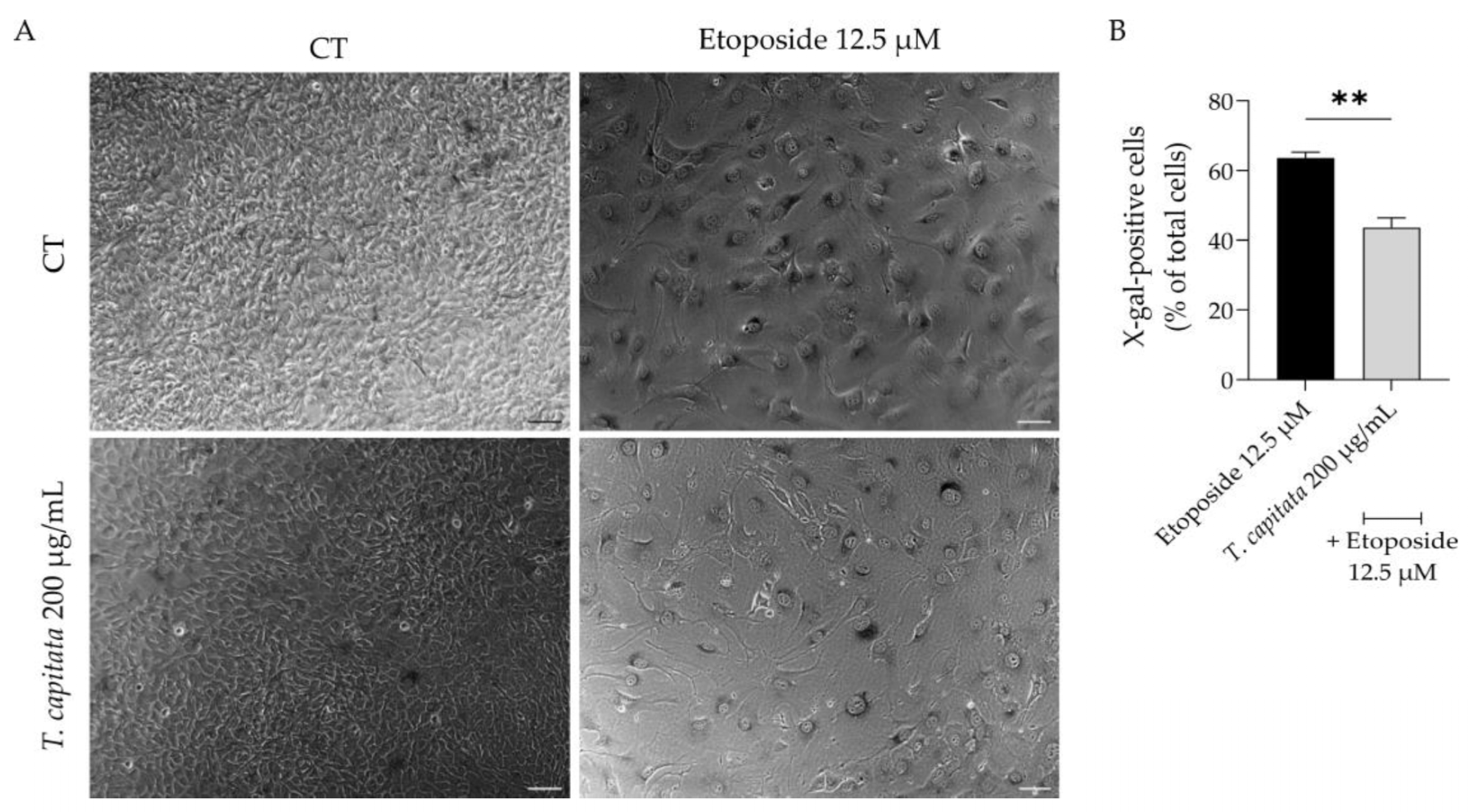 Pharmaceuticals 16 01202 g006
