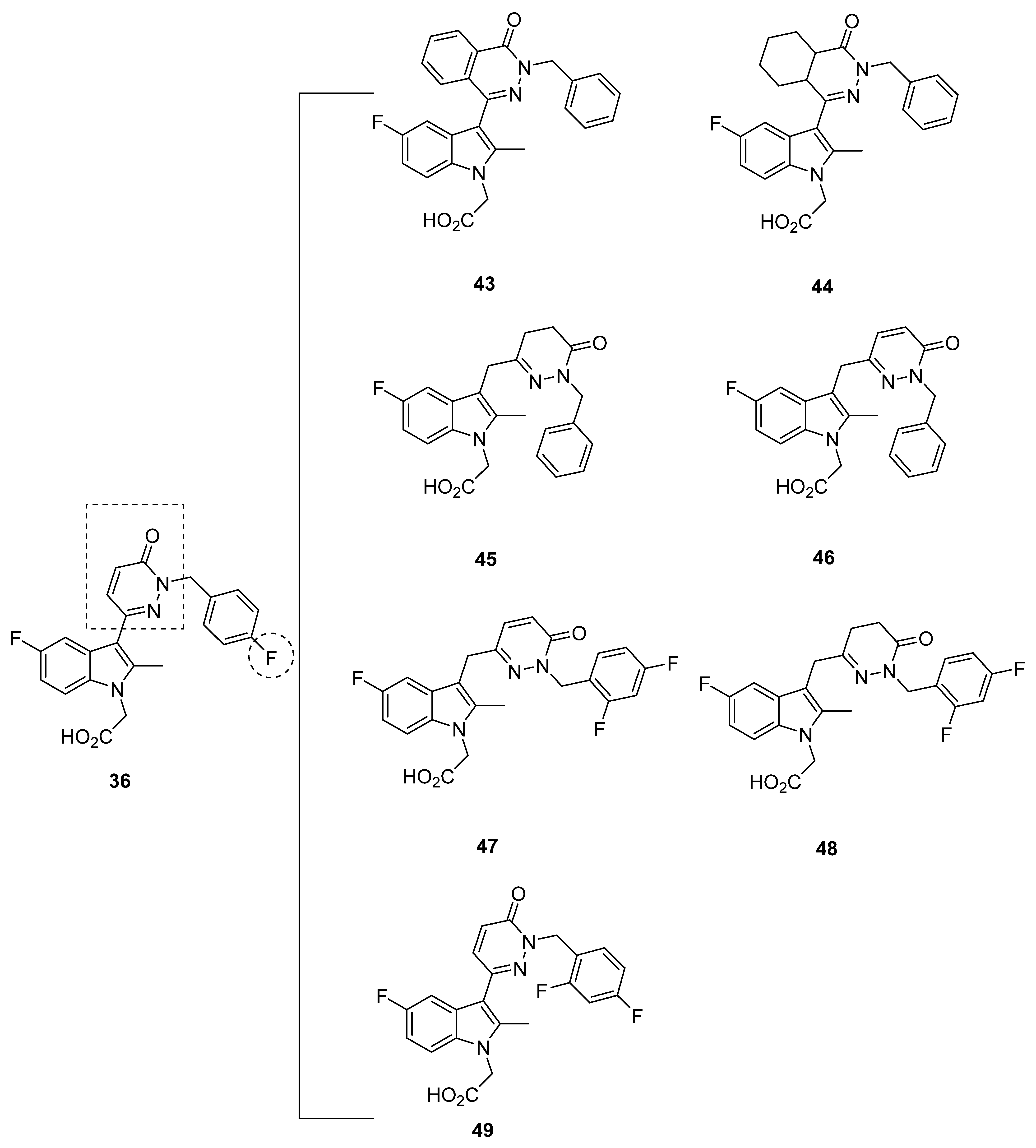 Pharmaceuticals 16 01203 g008