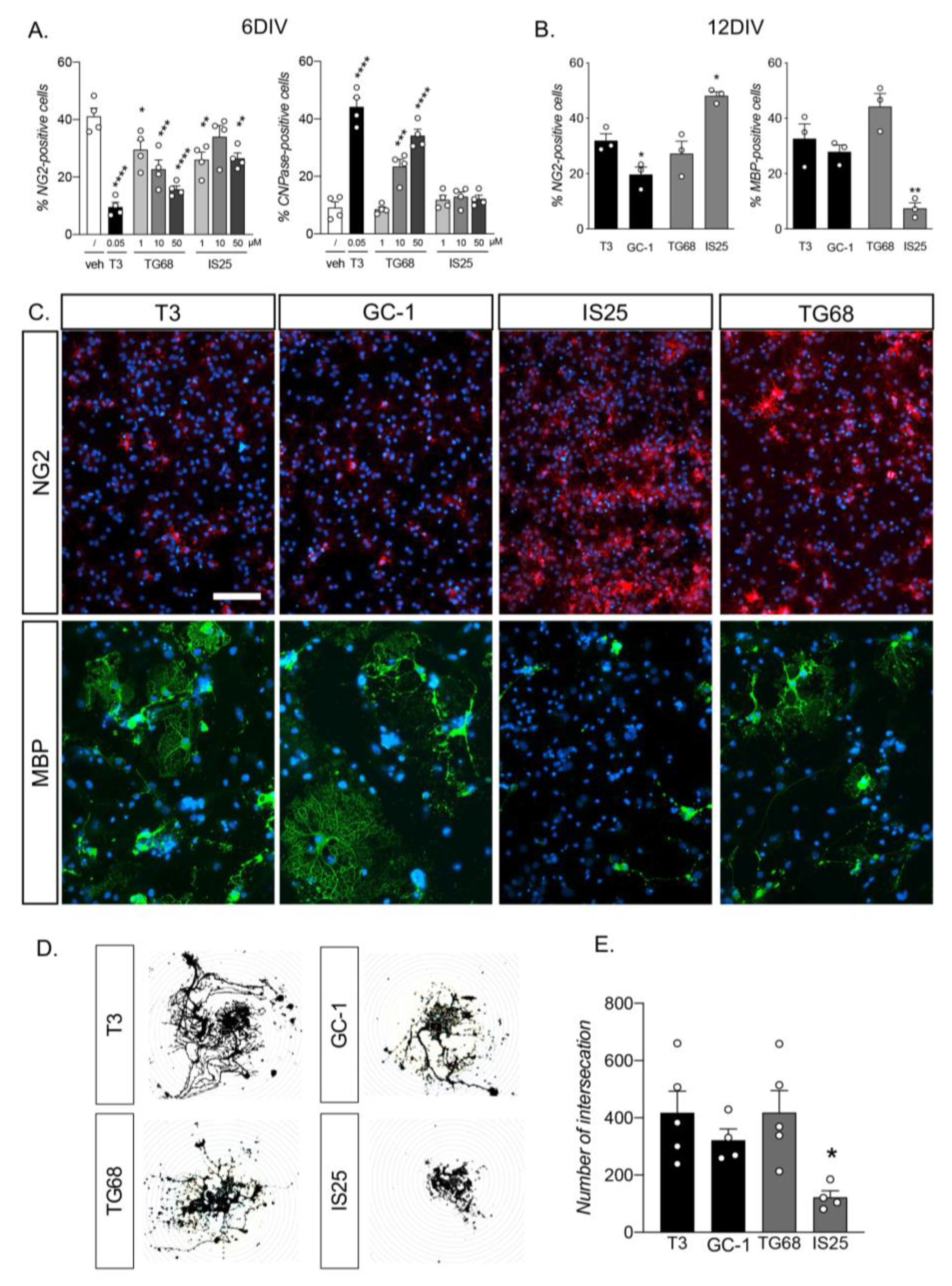 Pharmaceuticals 16 01207 g001
