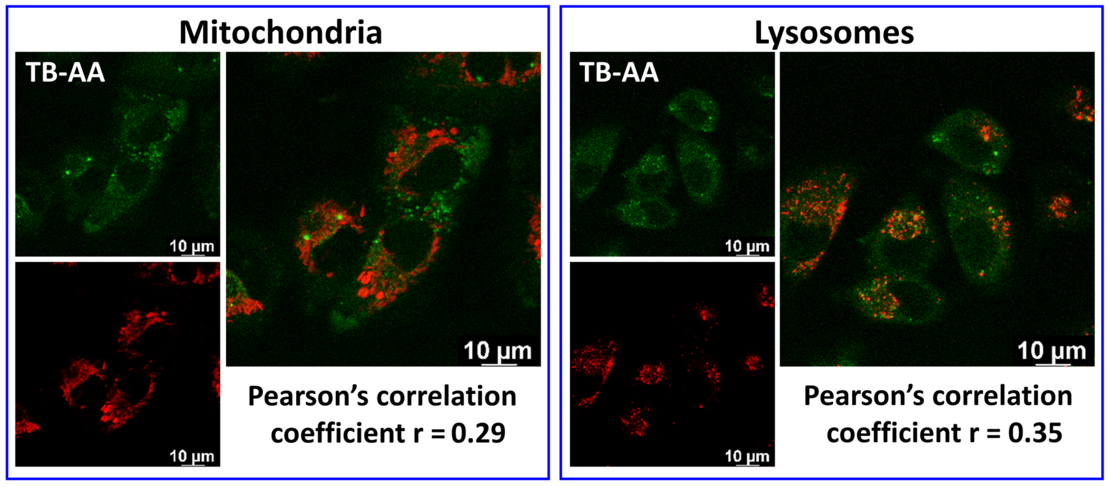 Pharmaceuticals 16 01208 g006