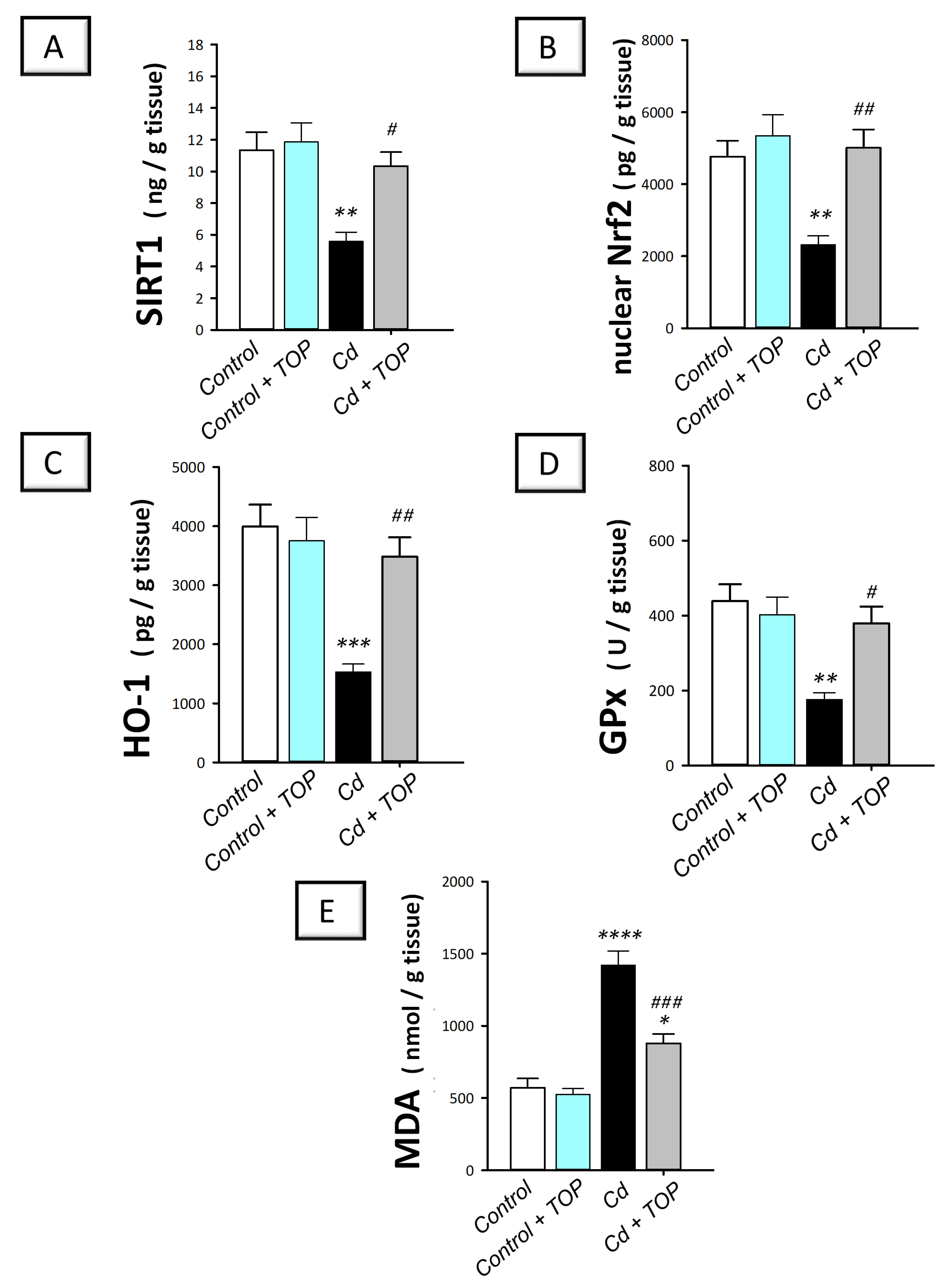 Pharmaceuticals 16 01214 g005