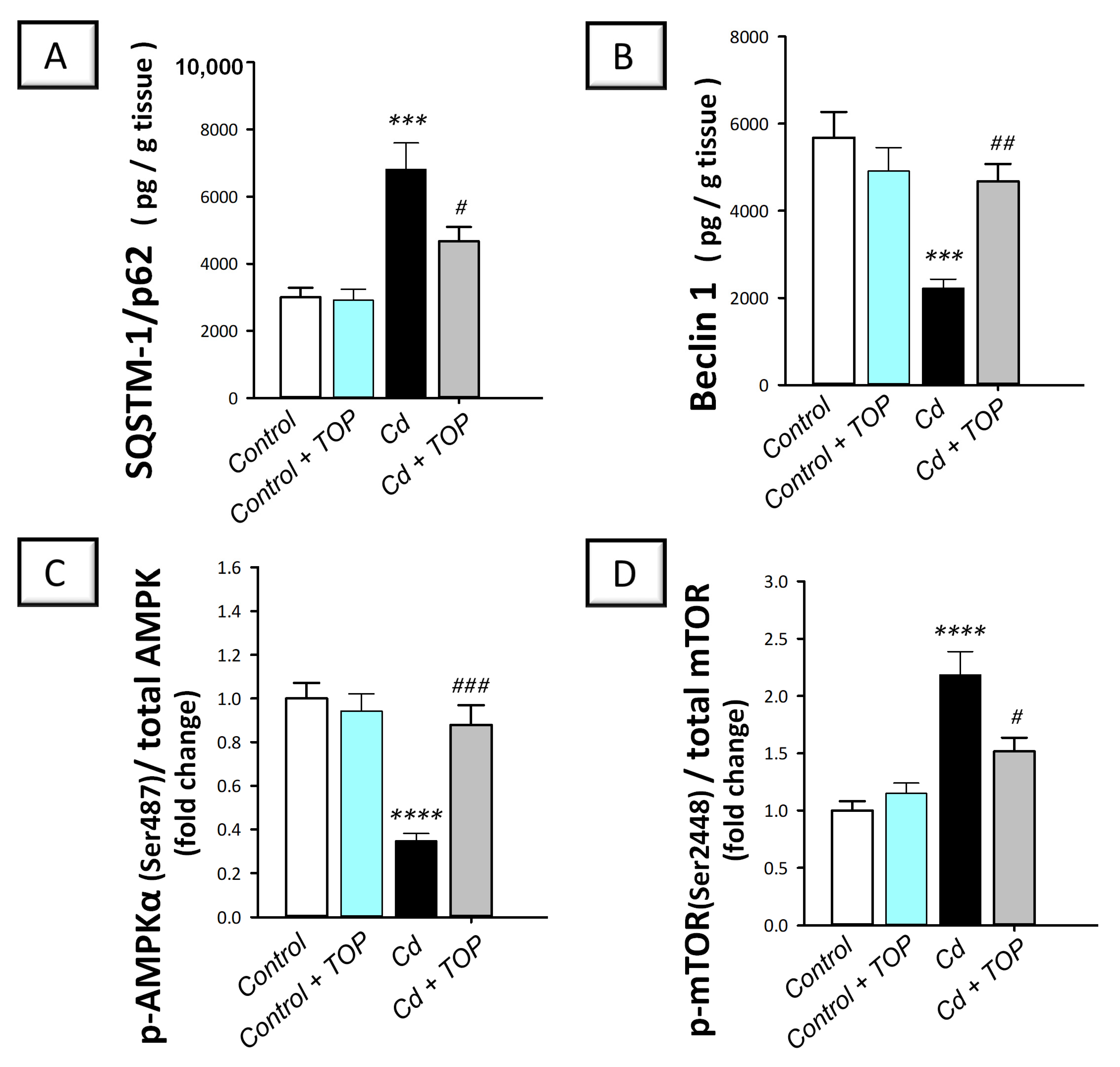 Pharmaceuticals 16 01214 g006