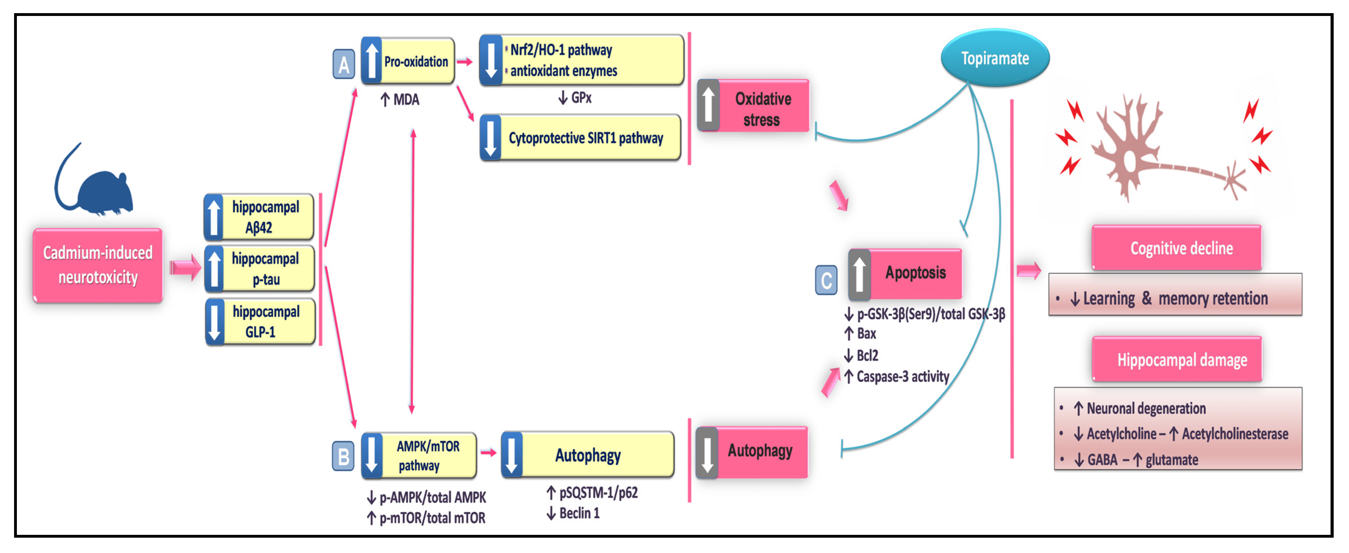 Pharmaceuticals 16 01214 g009