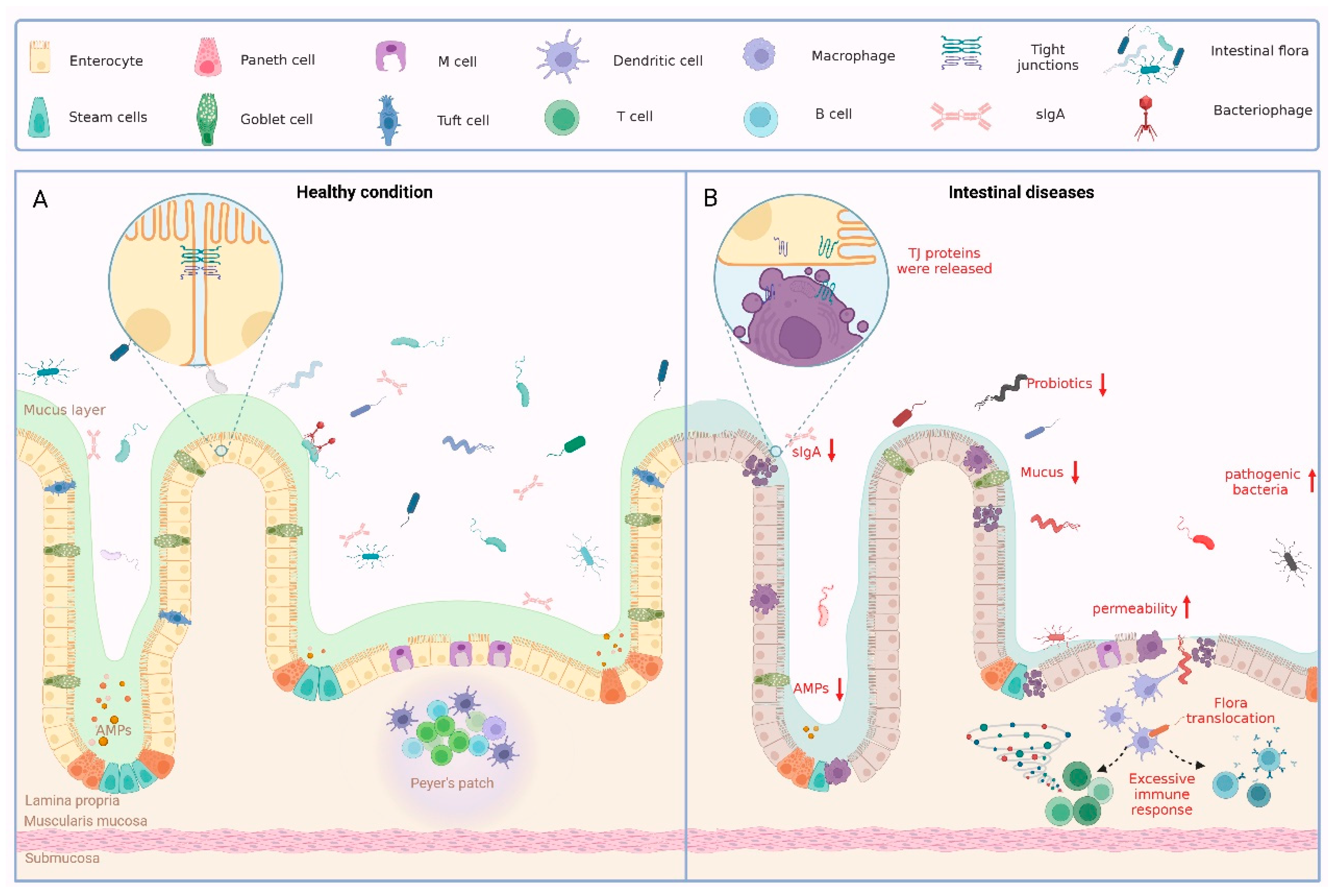 Pharmaceuticals 16 01216 g001