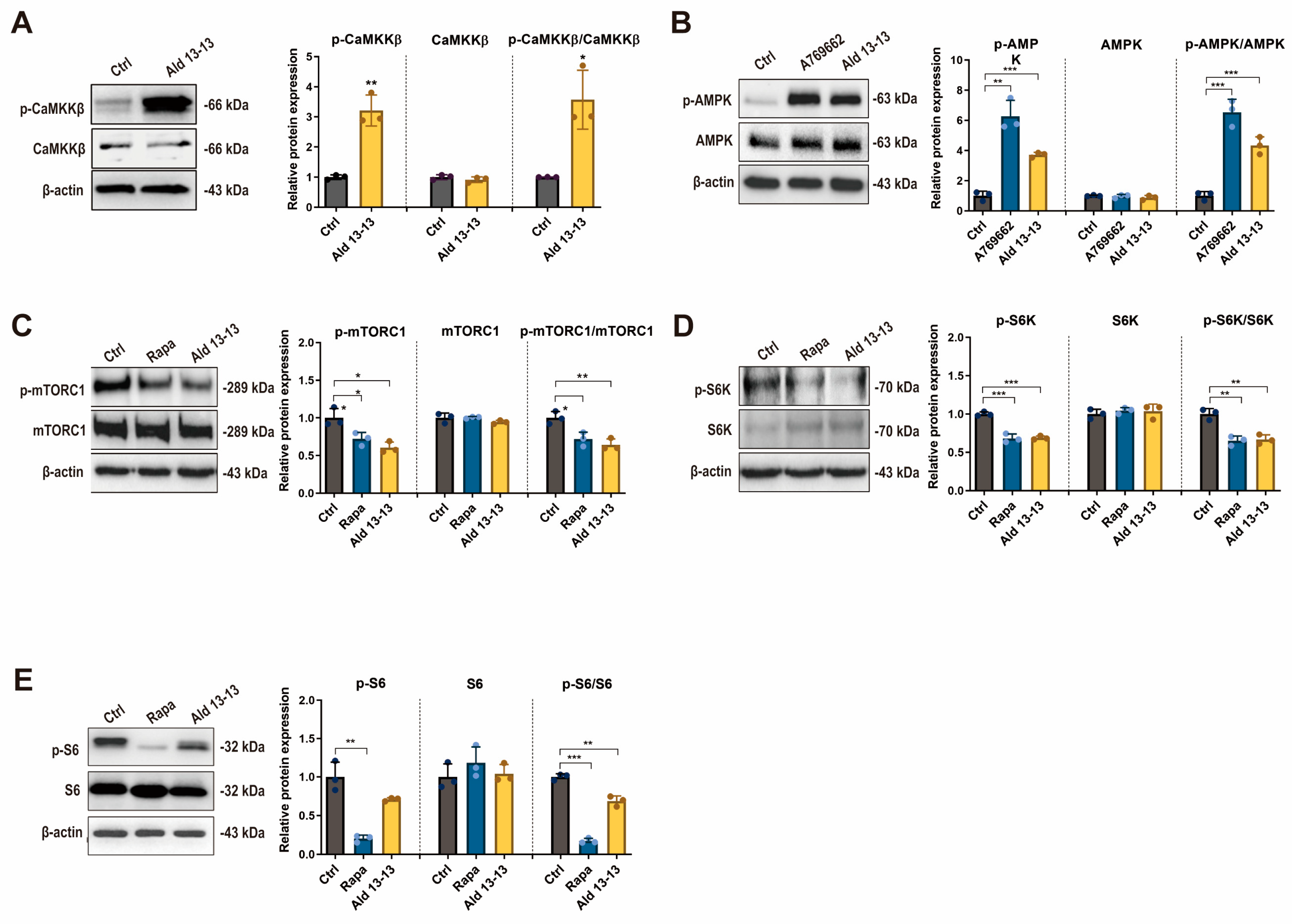 Pharmaceuticals 16 01221 g004