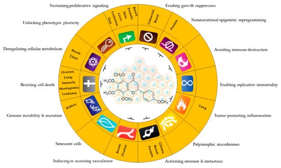 Pharmaceuticals 16 01229 g005