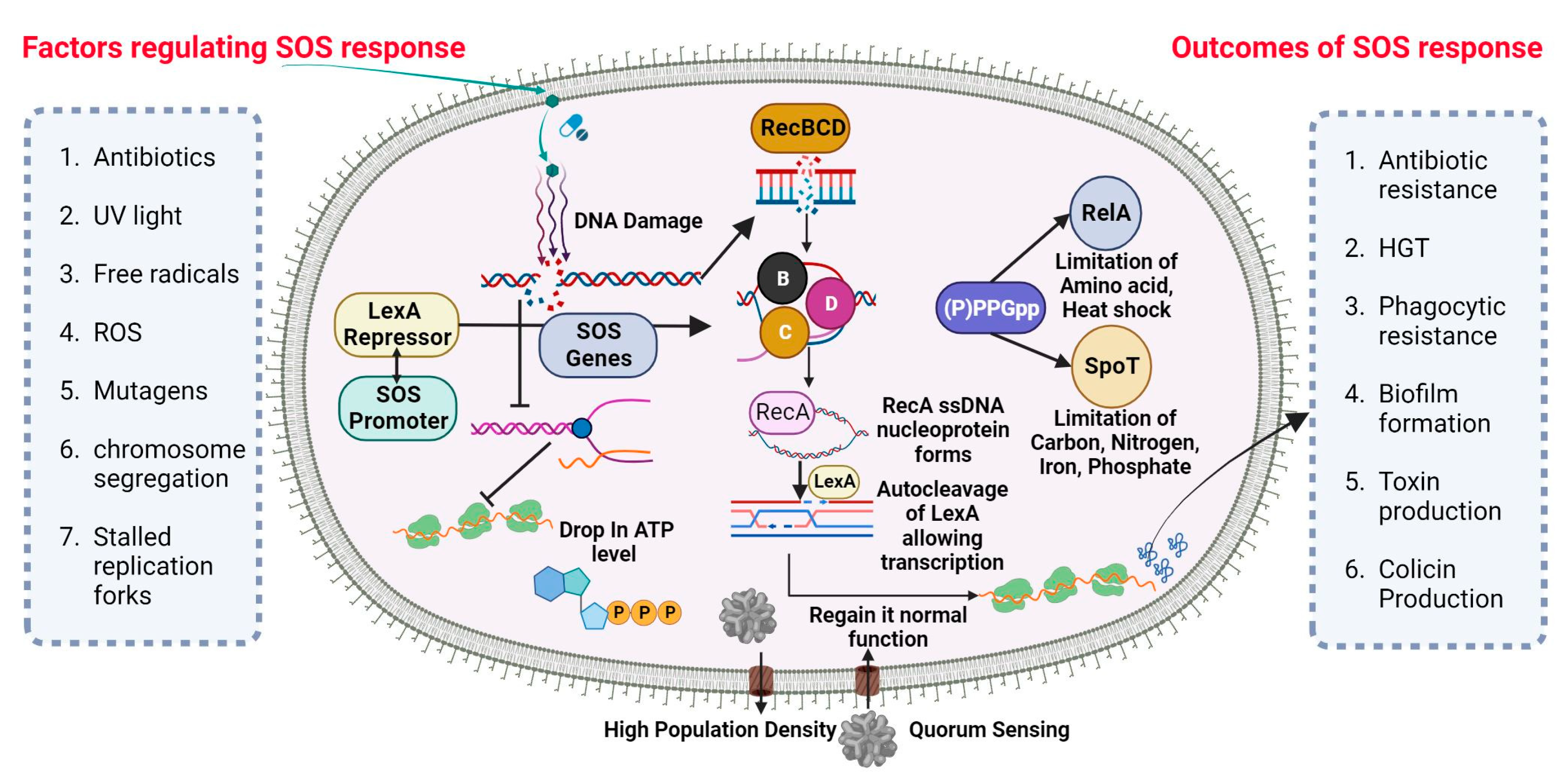 Pharmaceuticals 16 01230 g001