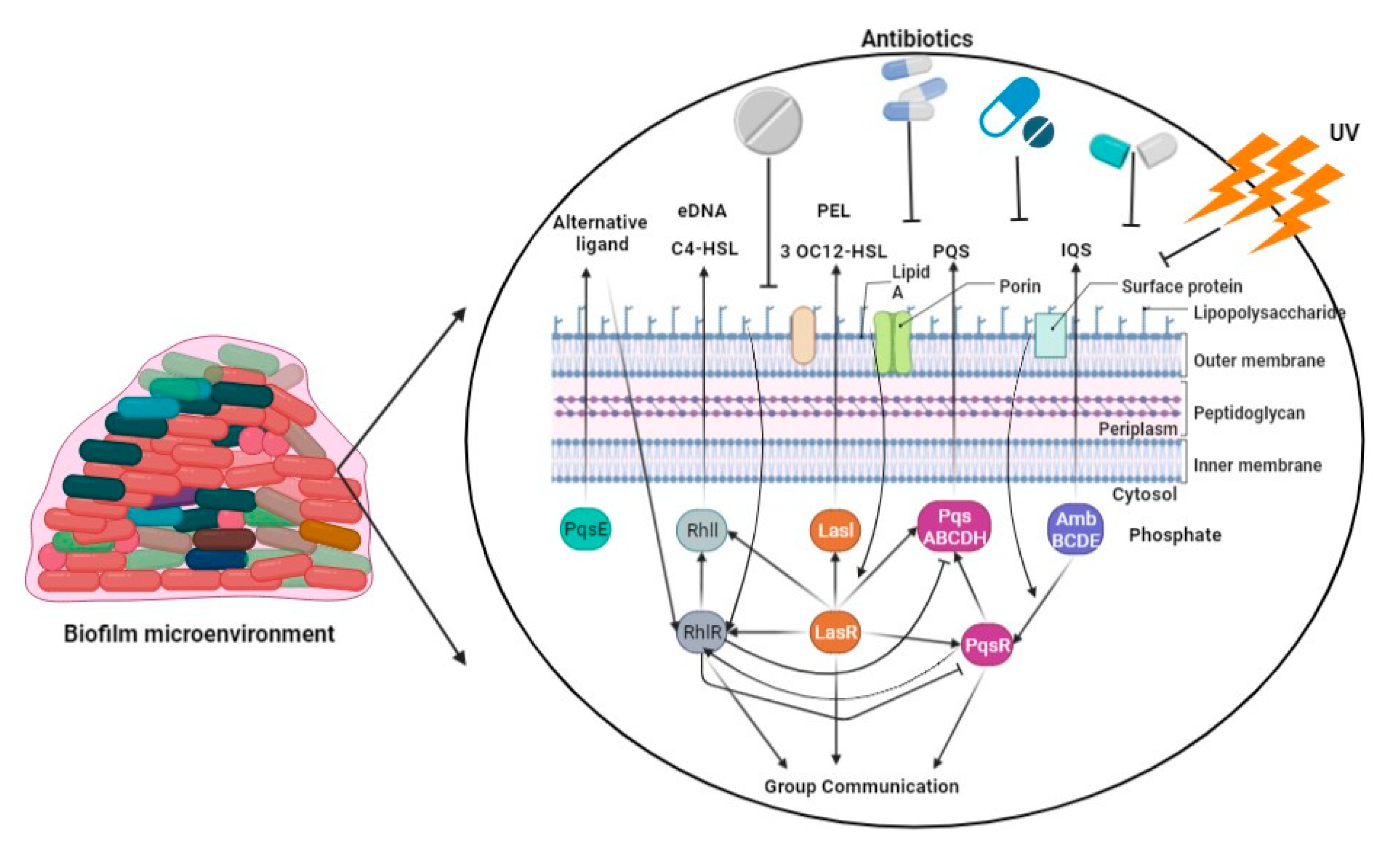 Pharmaceuticals 16 01230 g002