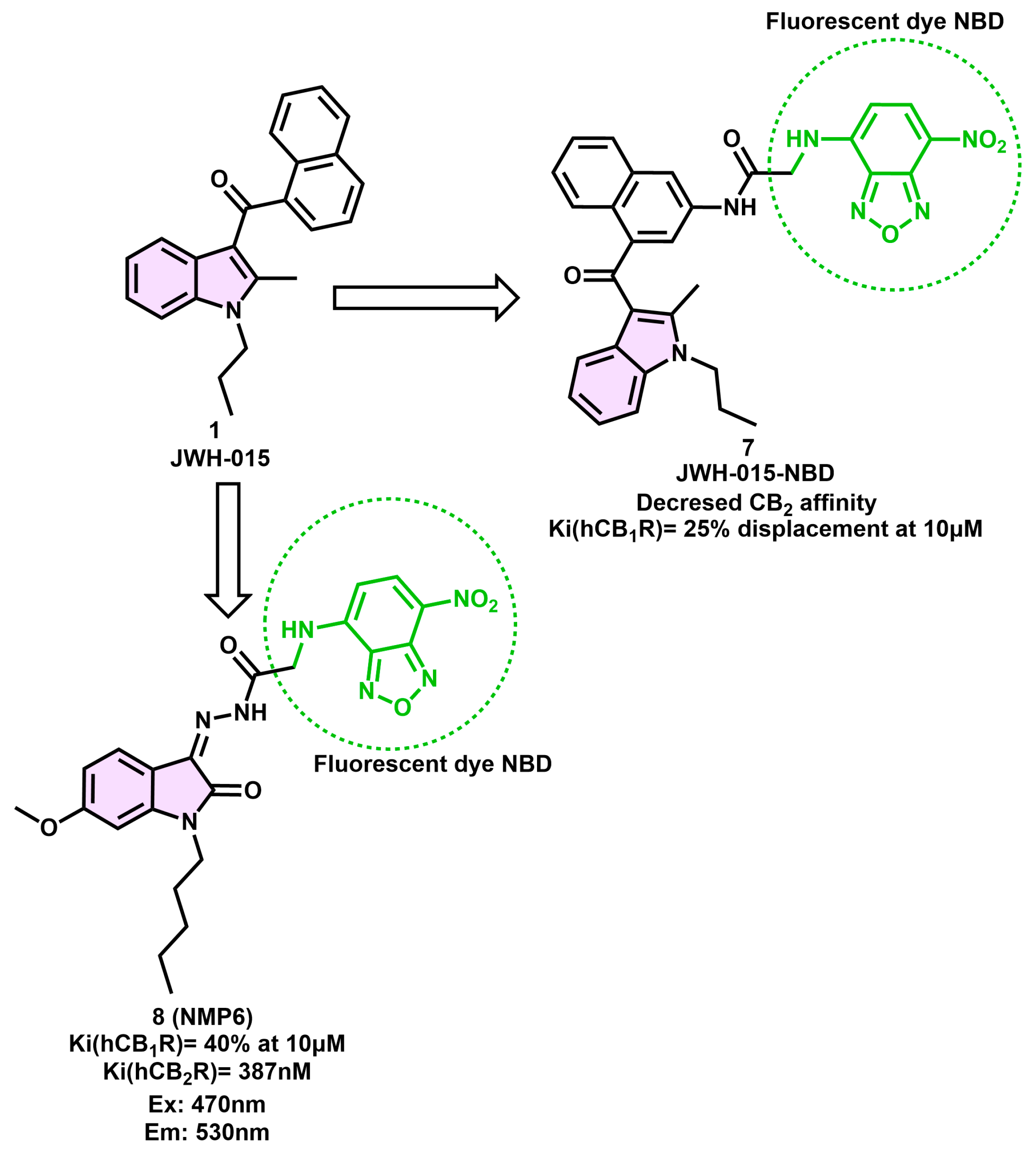 Pharmaceuticals 16 01235 g003