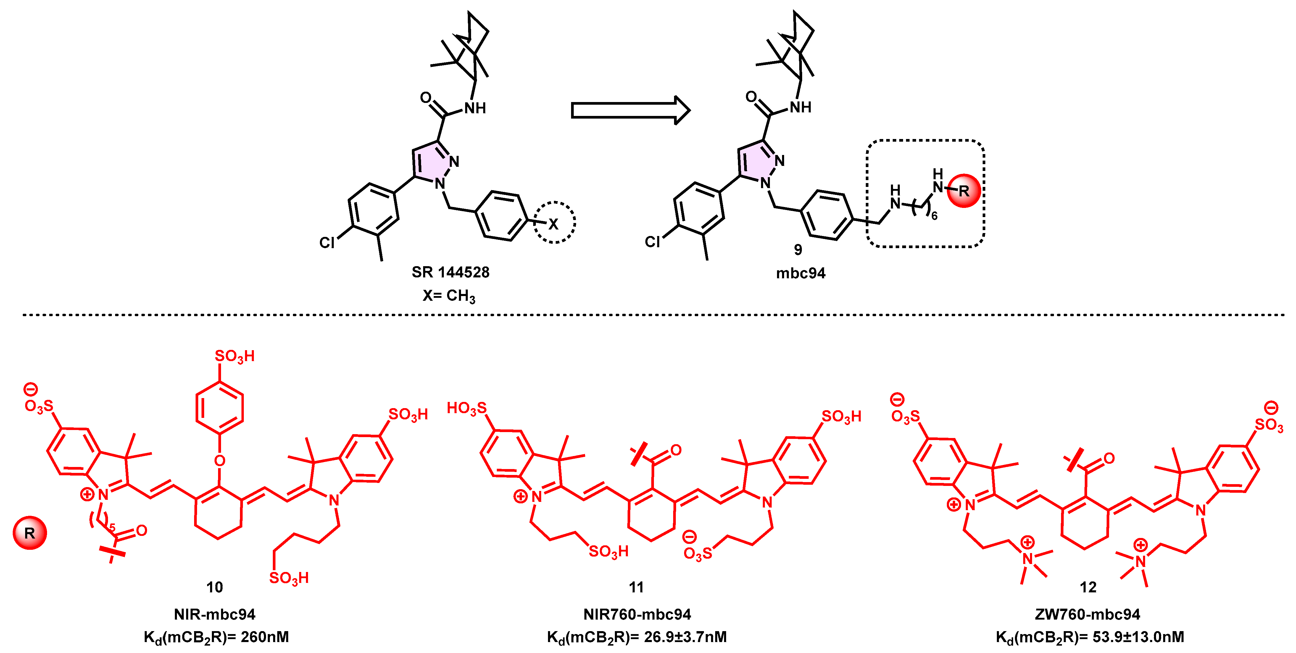 Pharmaceuticals 16 01235 g004